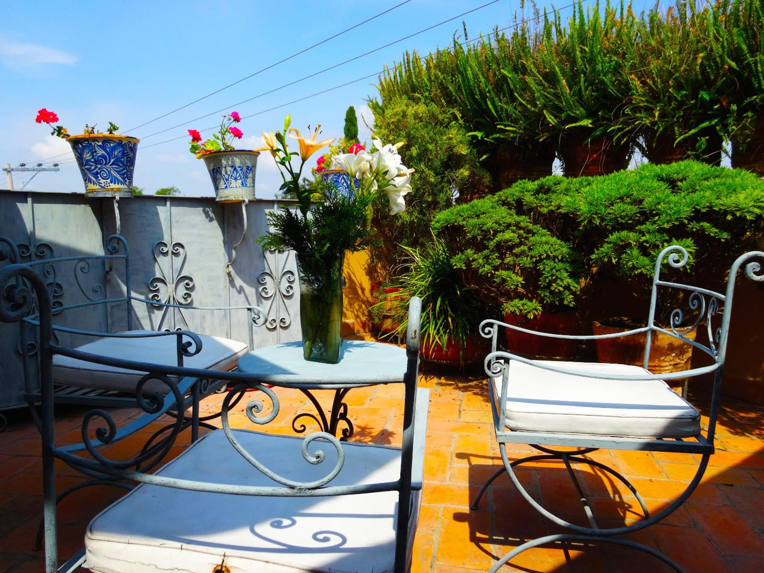 balance & terrace