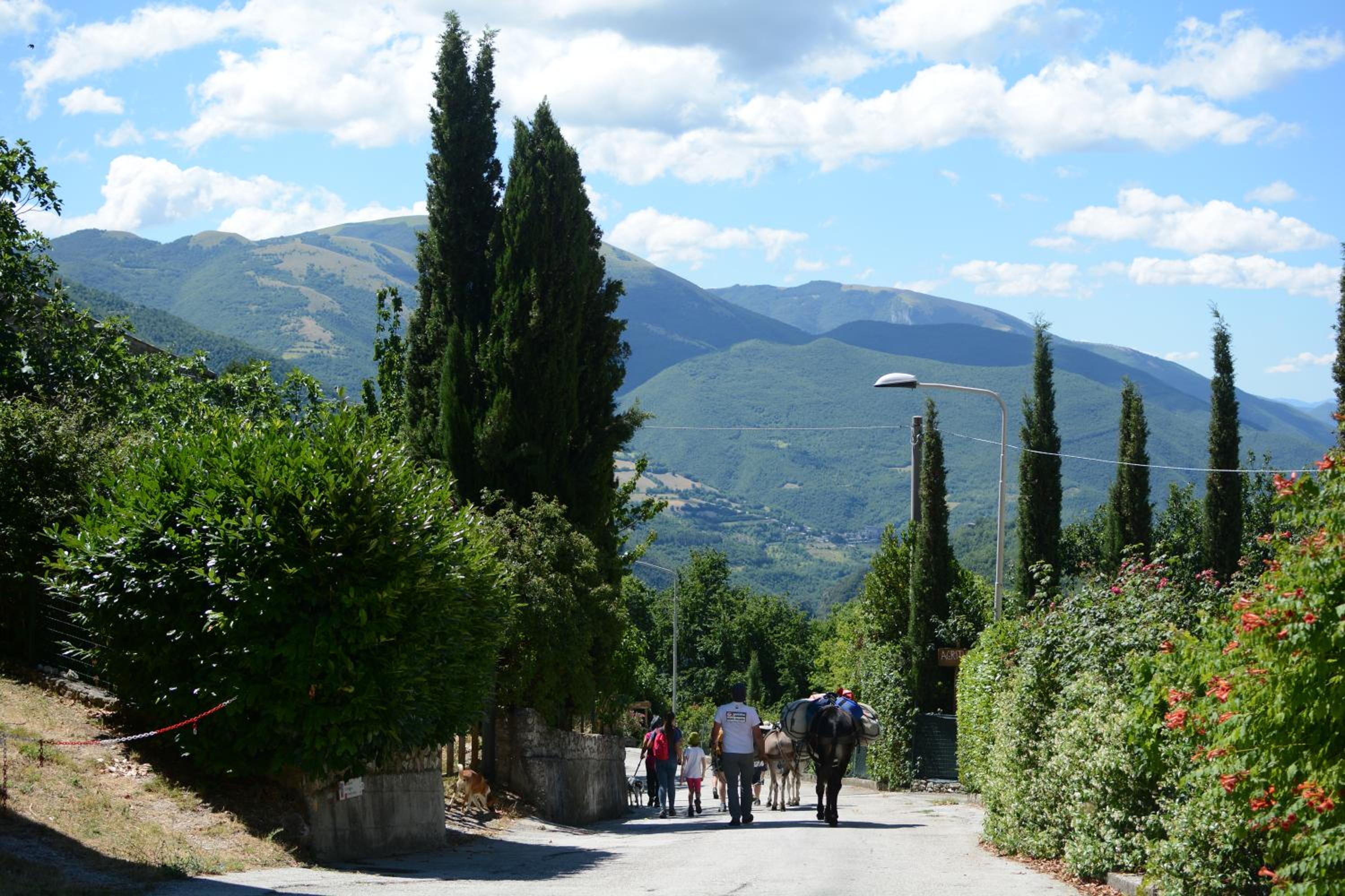 Agriturismo campagna in compagnia