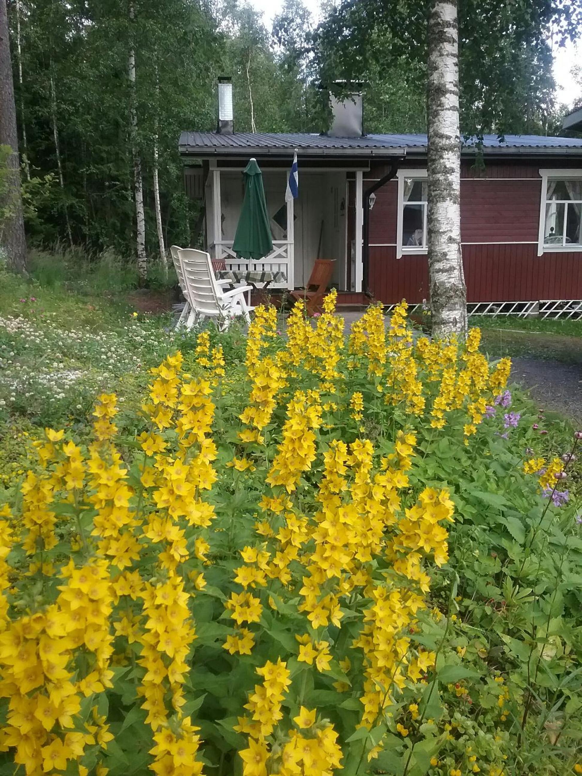 Ilmastoitu kesämökki Askolassa lähellä Porvoota
