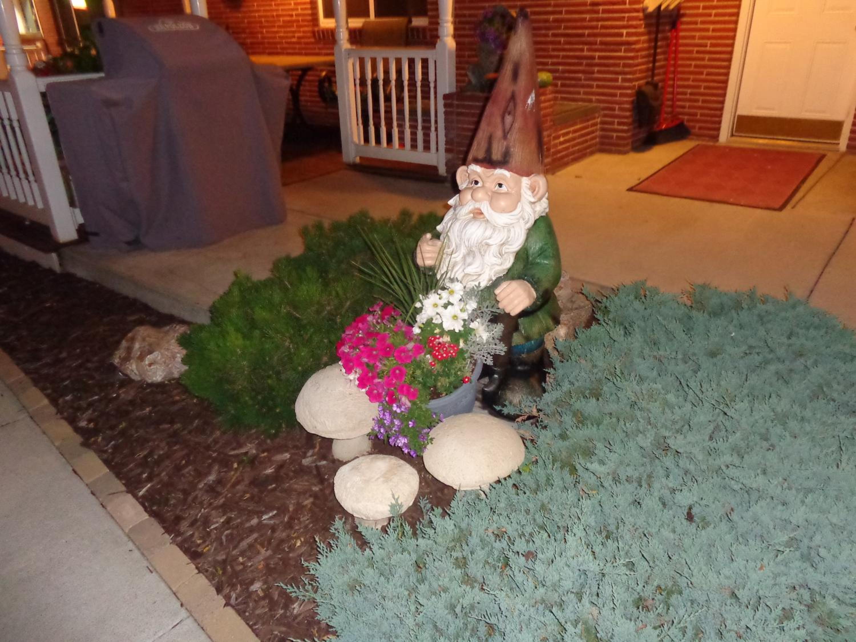Photo 15