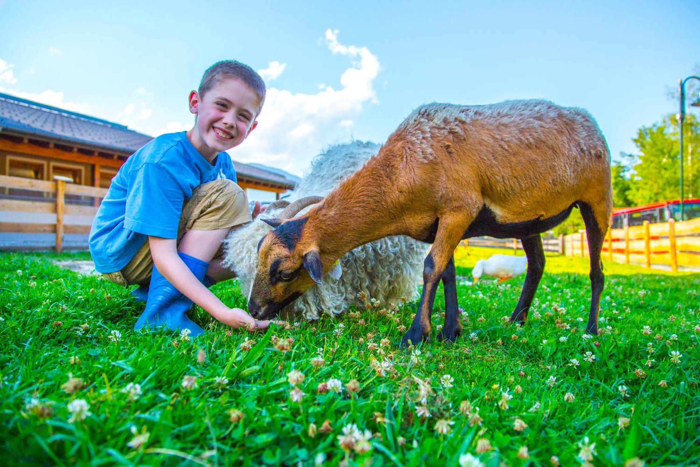 Schiefergut Family Resort Flachau