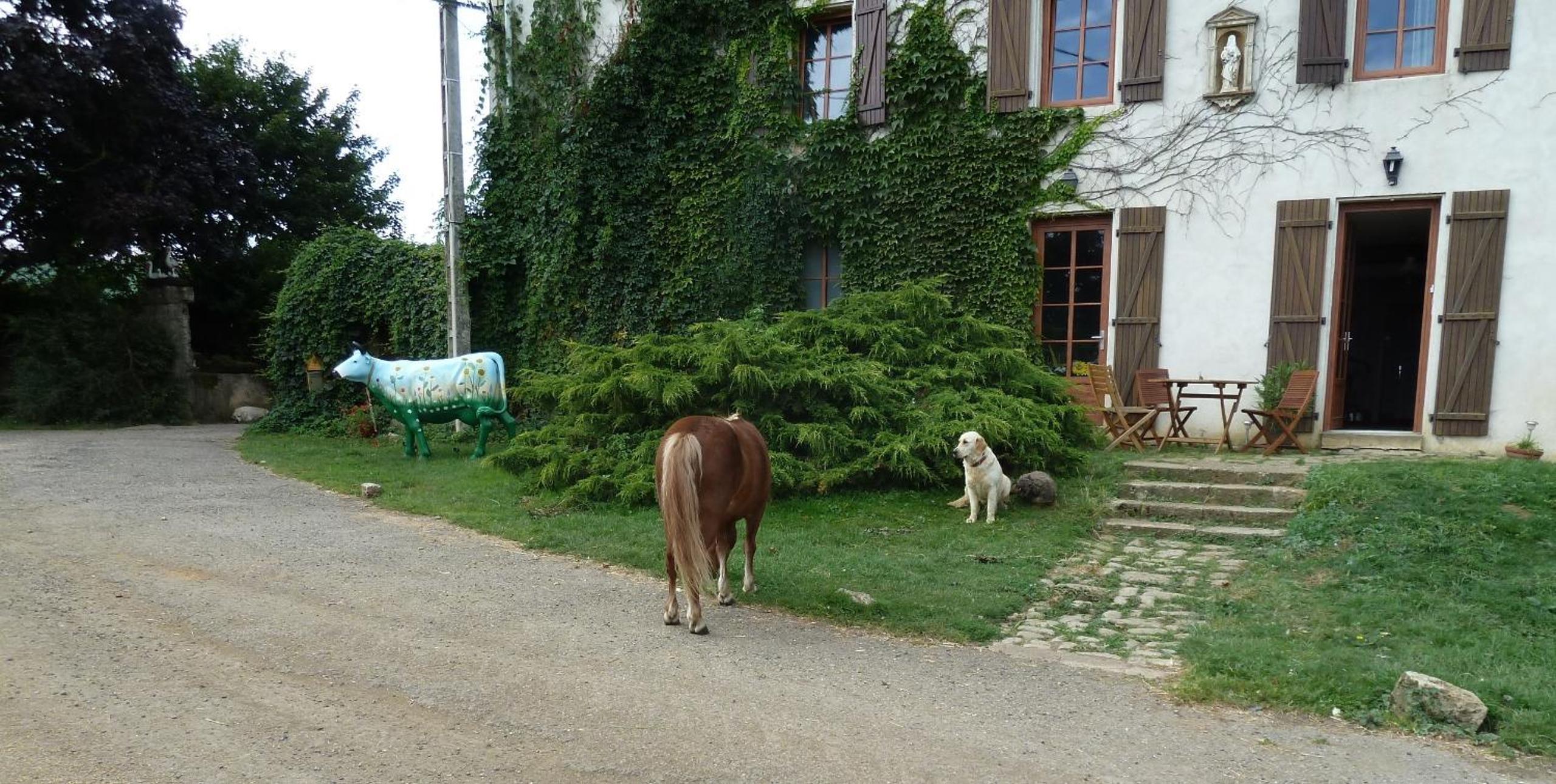 Ferme du Montheu