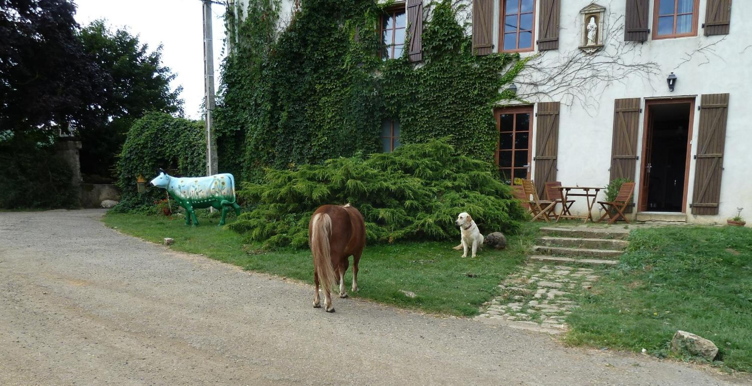 Ferme du Montheu