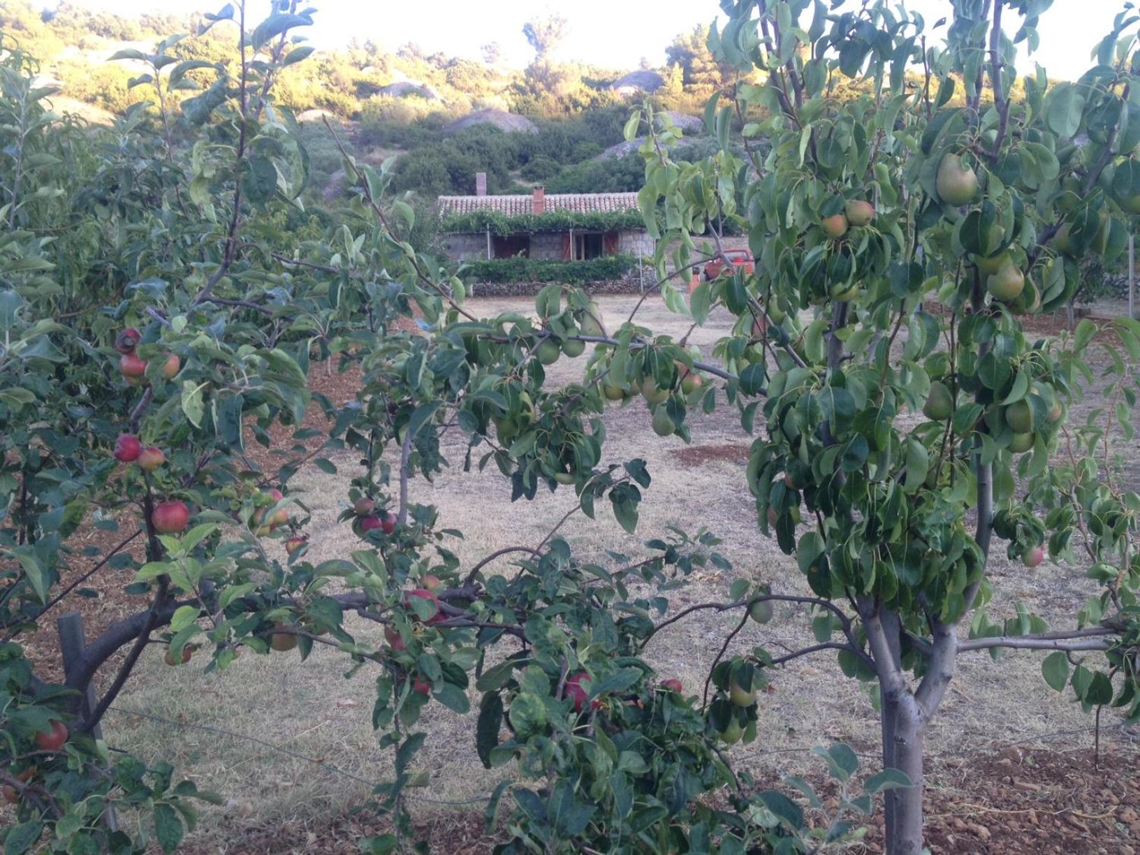 Photo 22