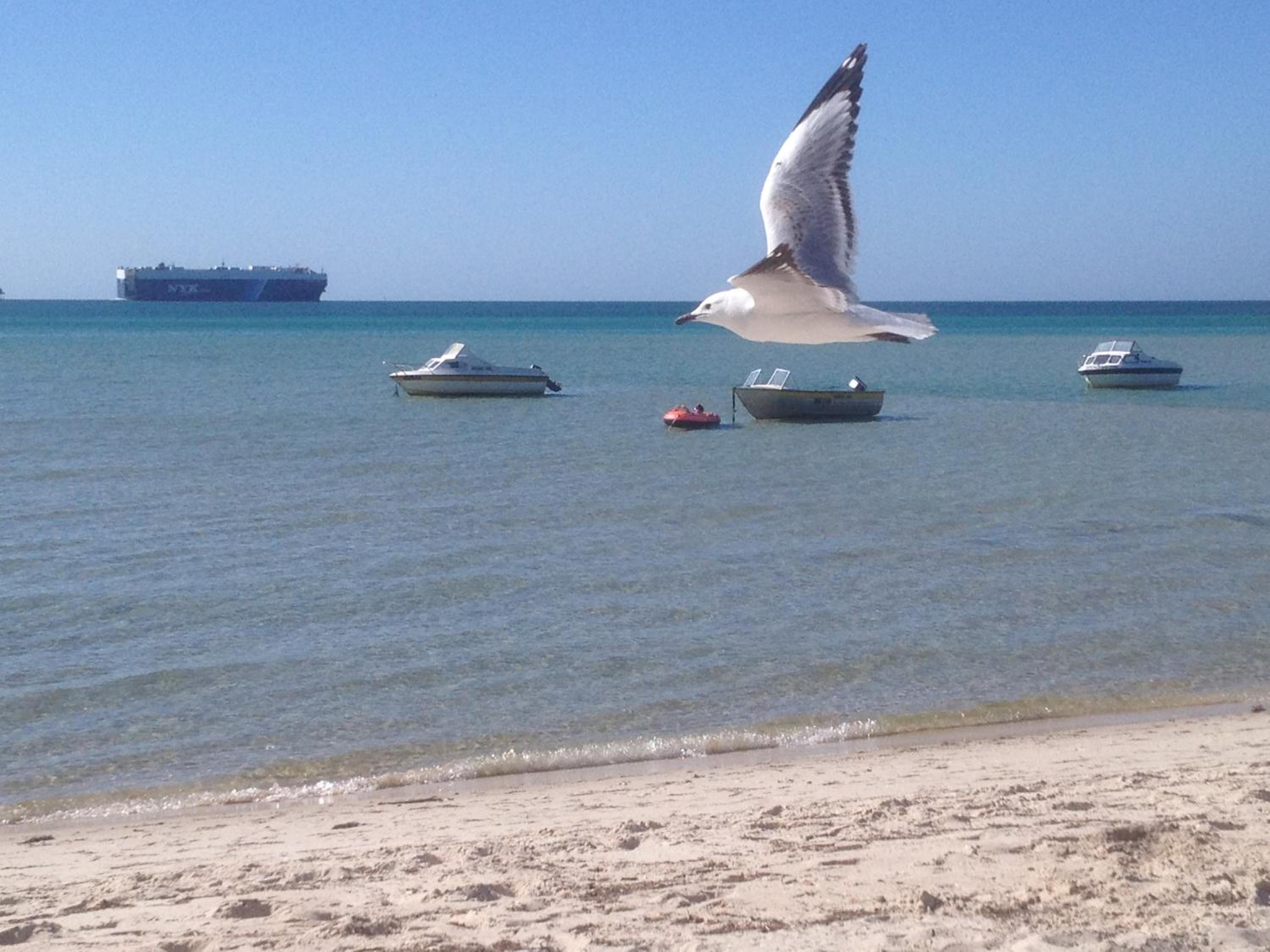 Rosebud Beach Unit 200 mt to Beach Late checkout