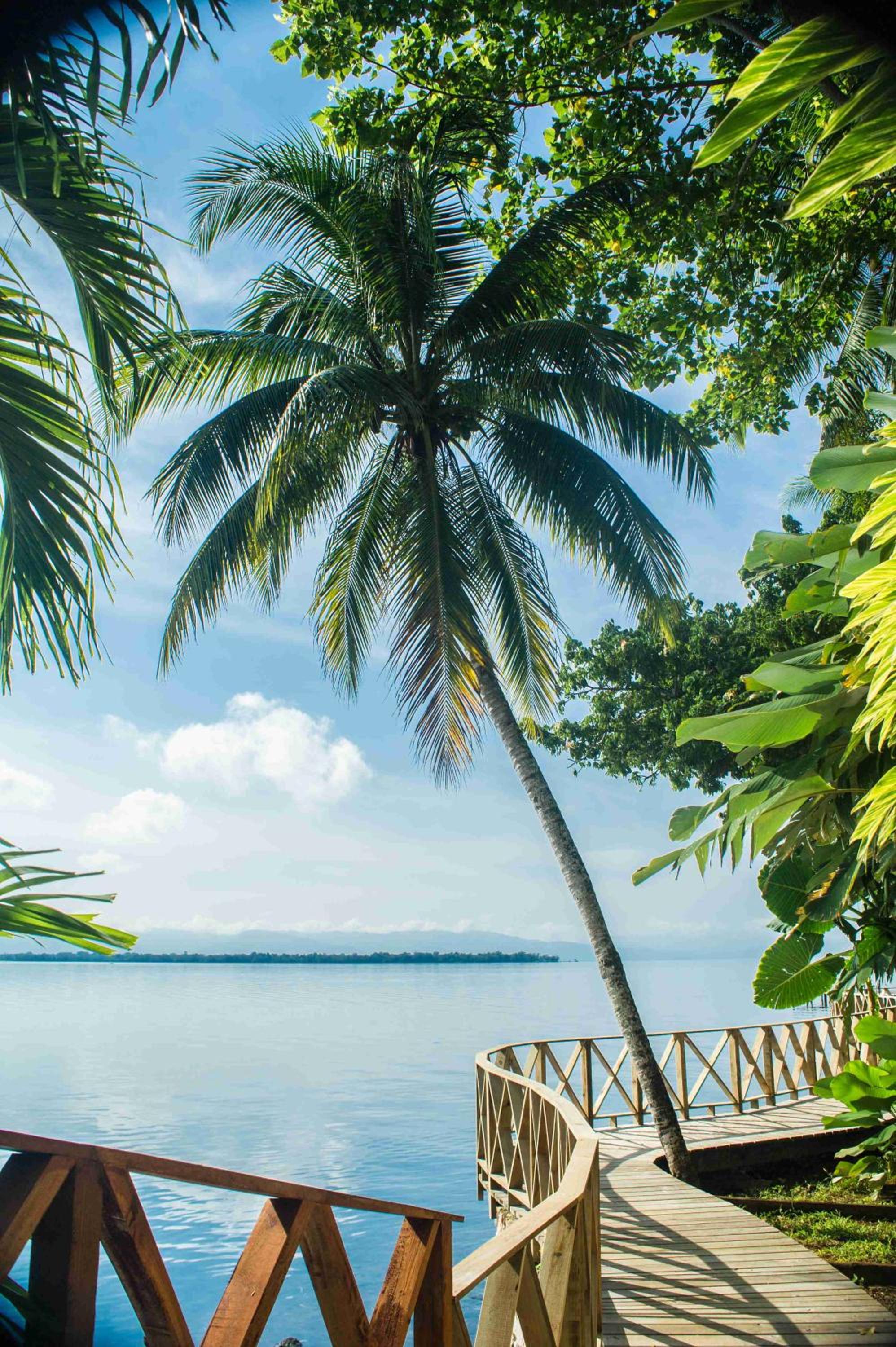 San Pedro Vacations - Banana Palms Hotel - Property Image 1