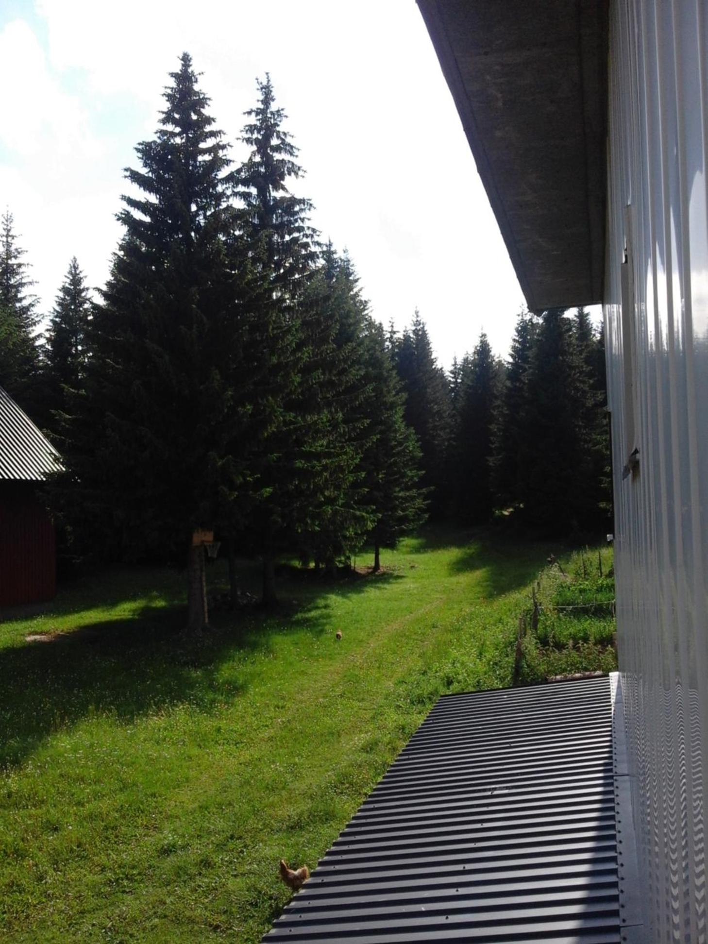 Photo 7