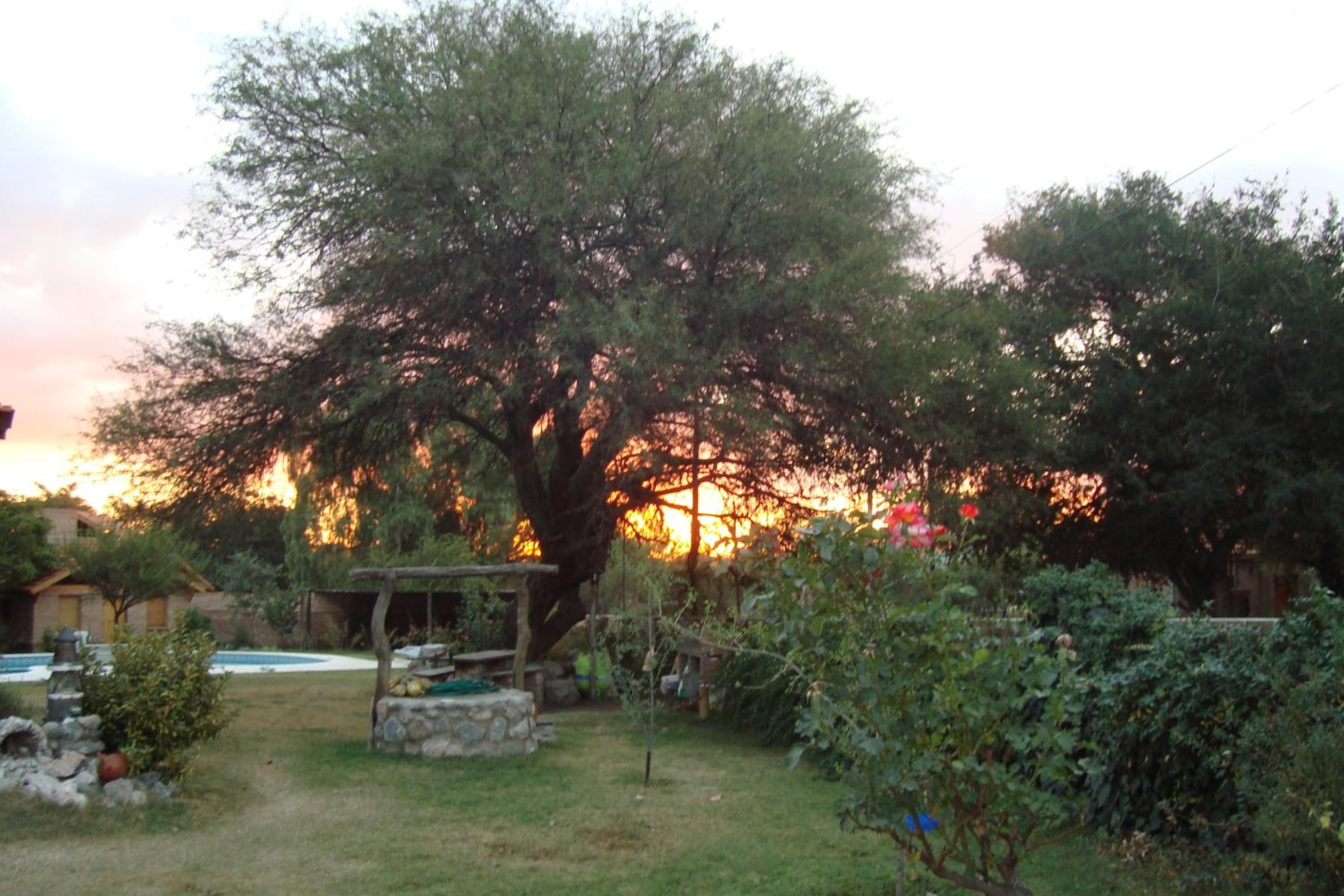 Algarrobo Luz Cabañas