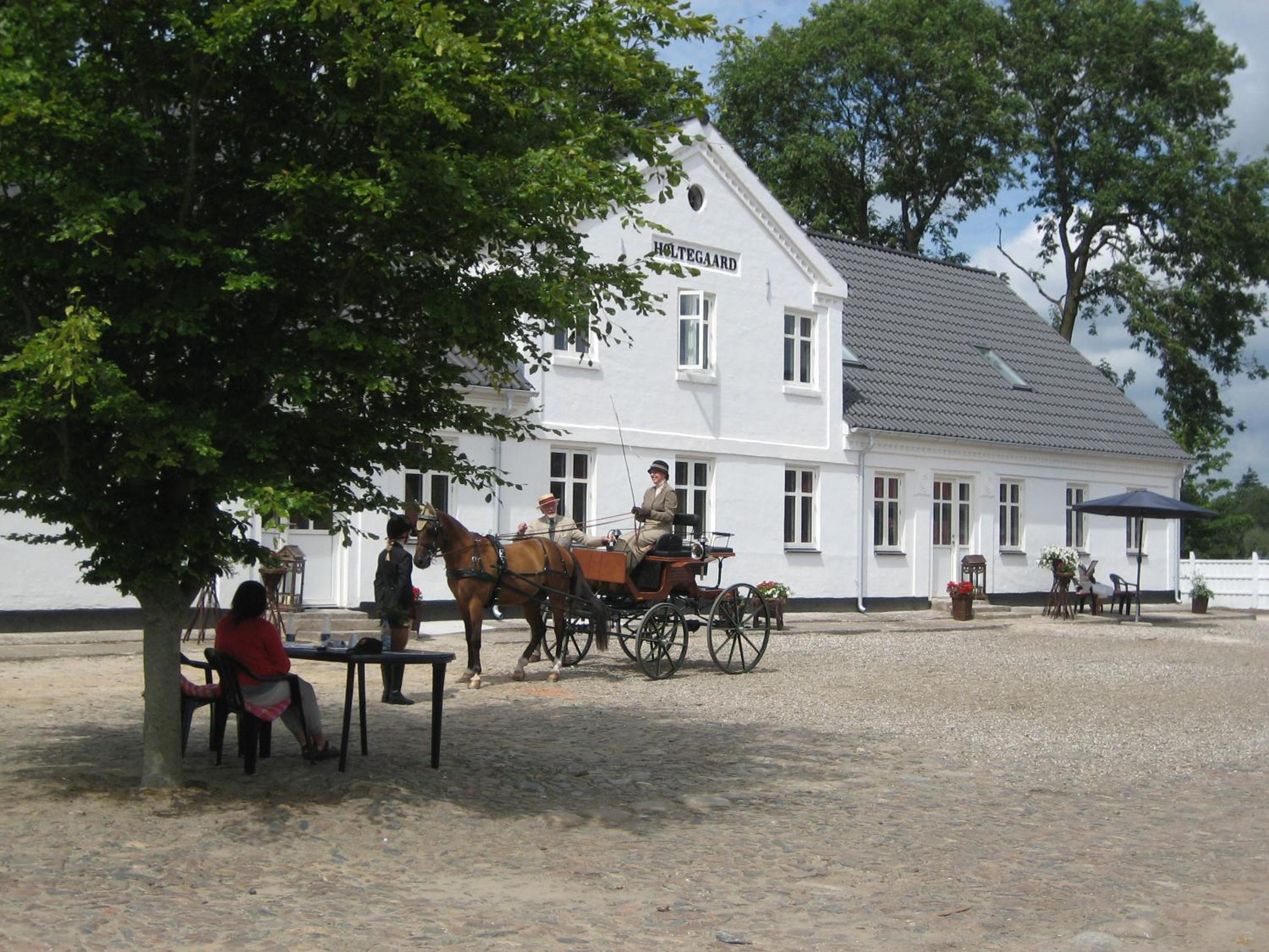 Holtegaard Bed & Breakfast