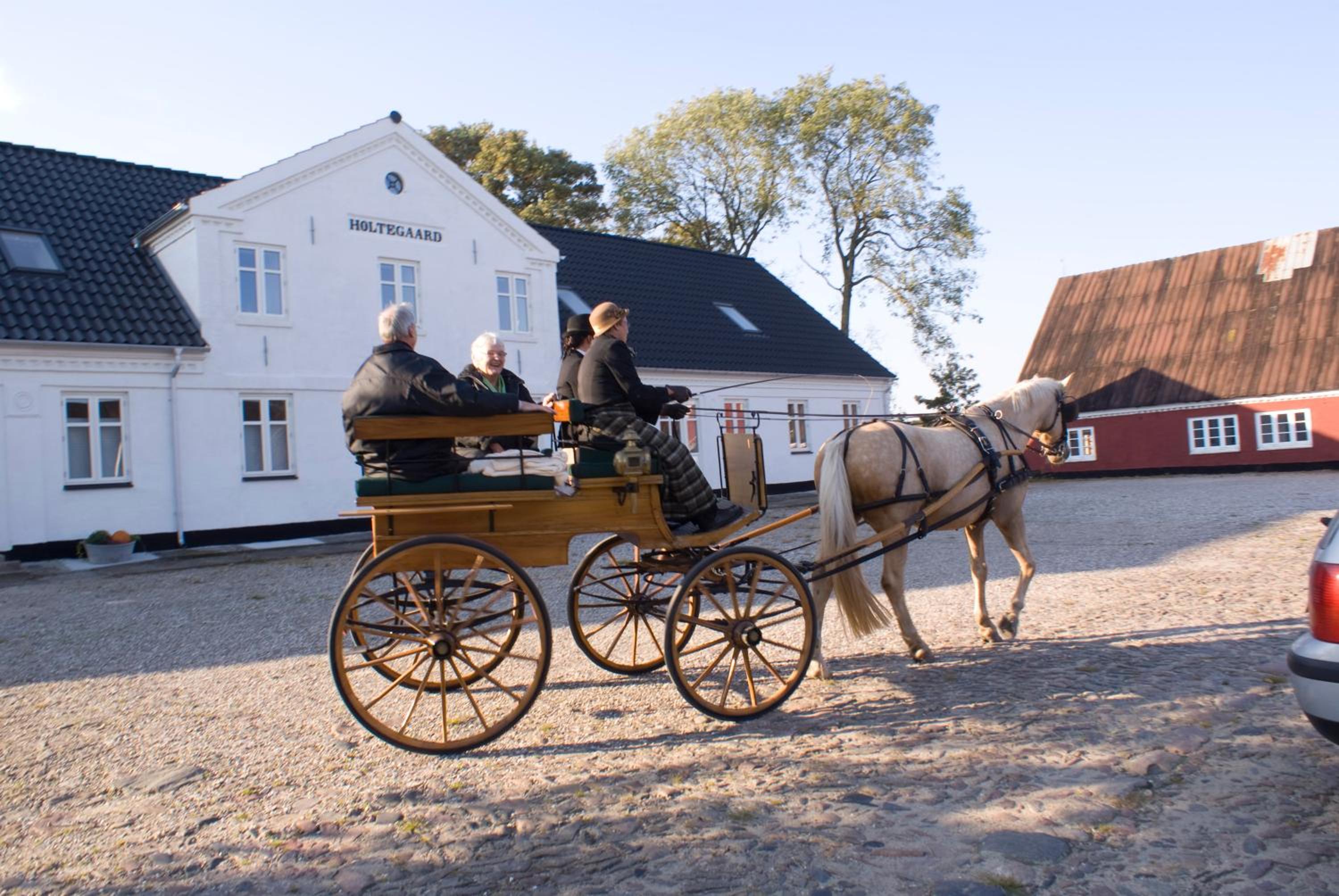 Holtegaard Bed & Breakfast