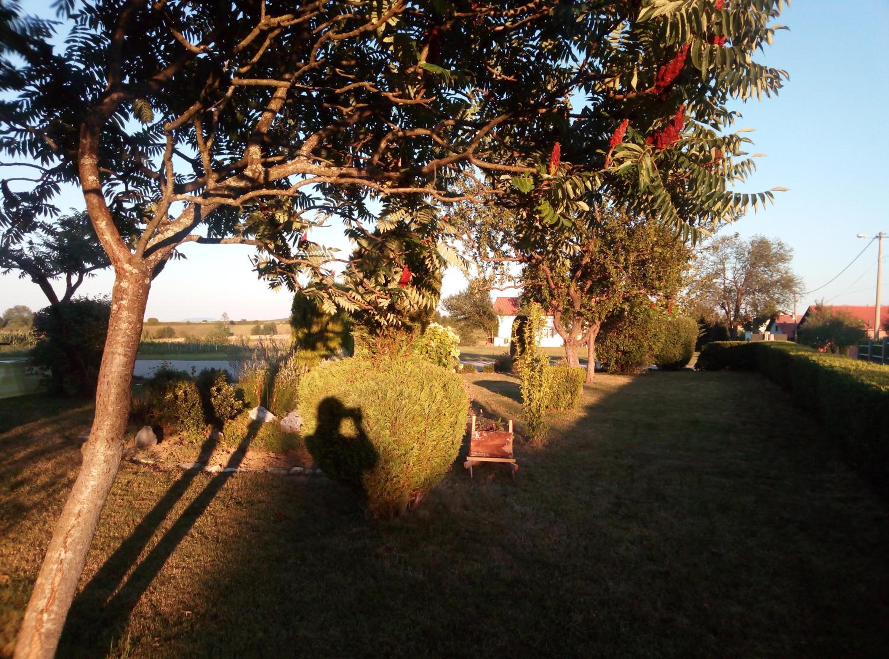 Photo 26