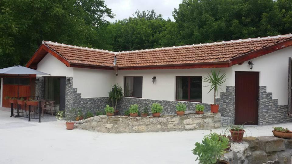 Guest House 