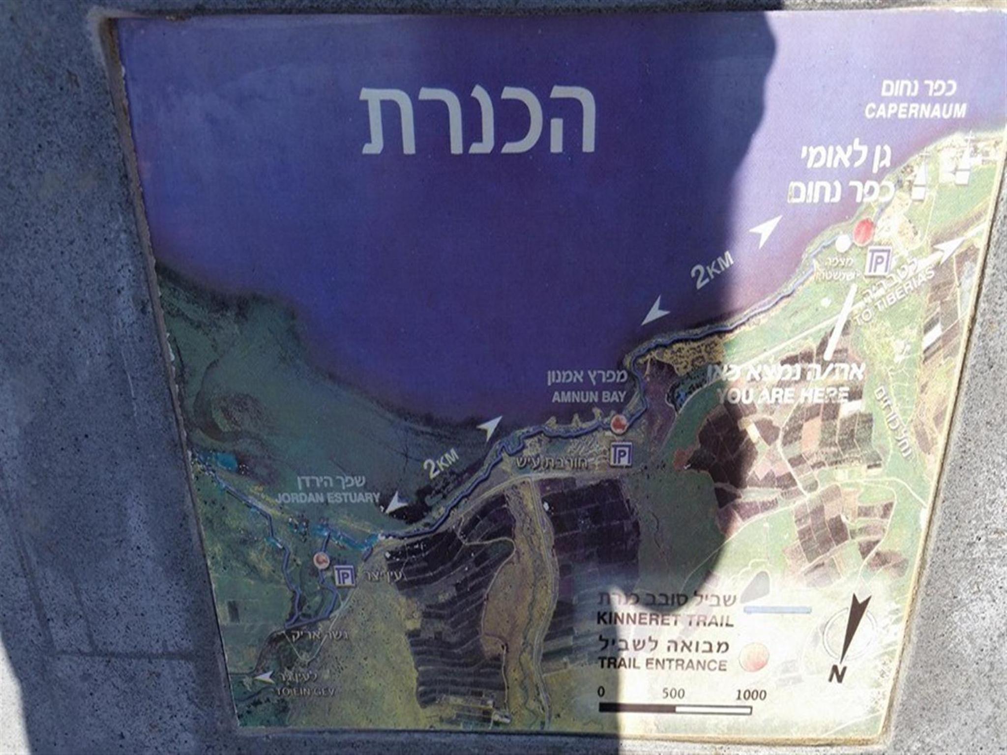Photo 49