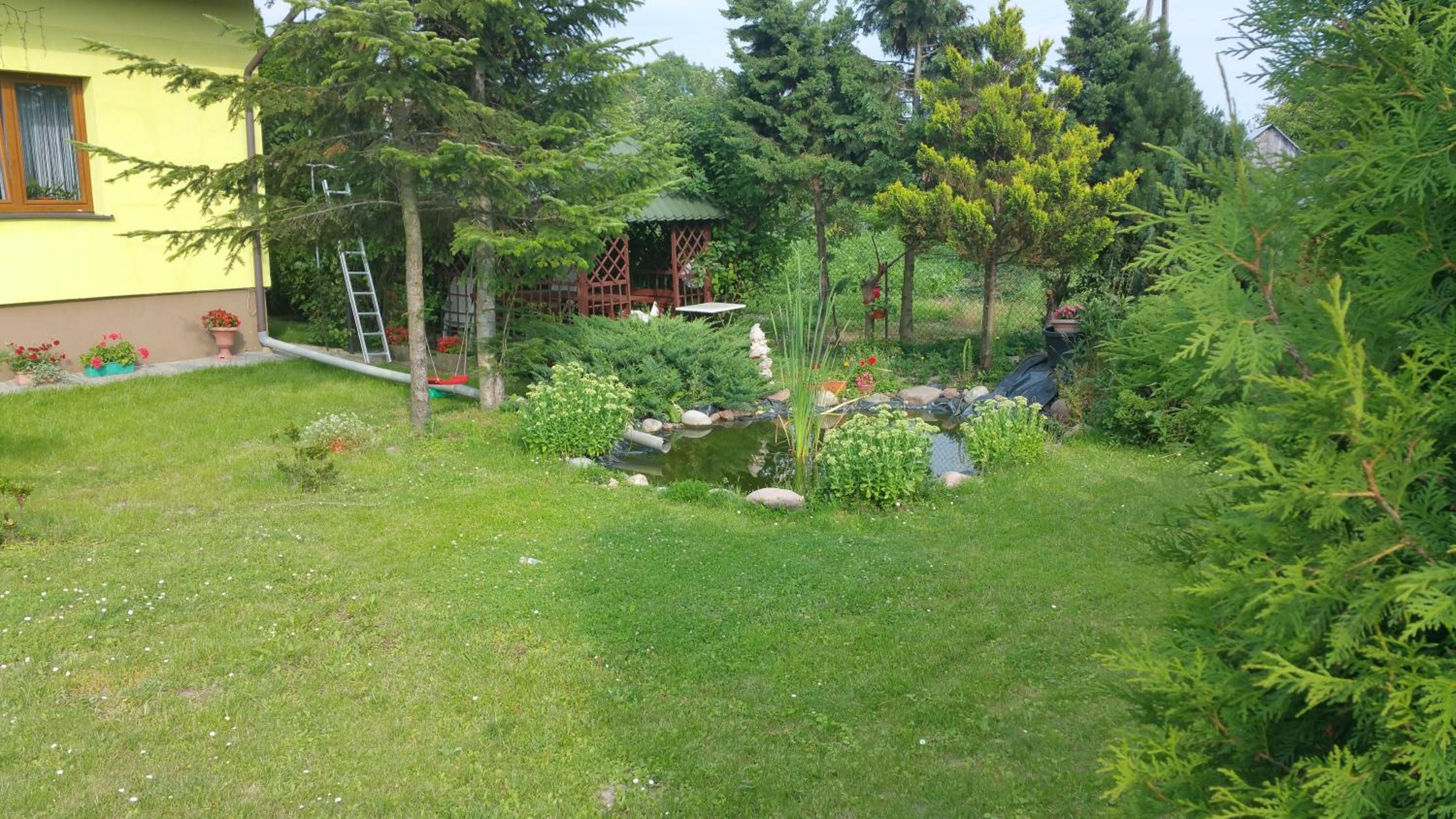 Photo 32