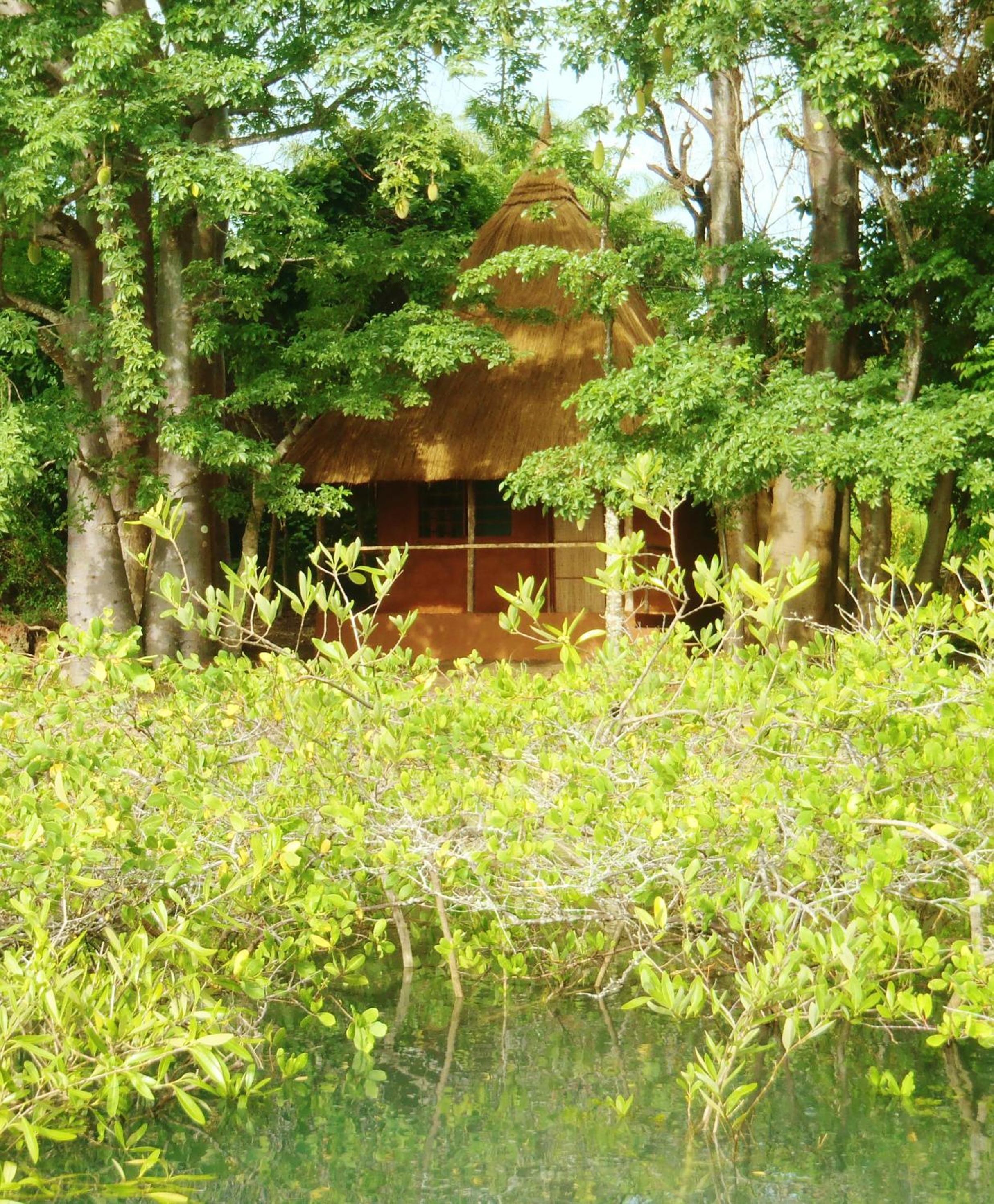 Photo 22