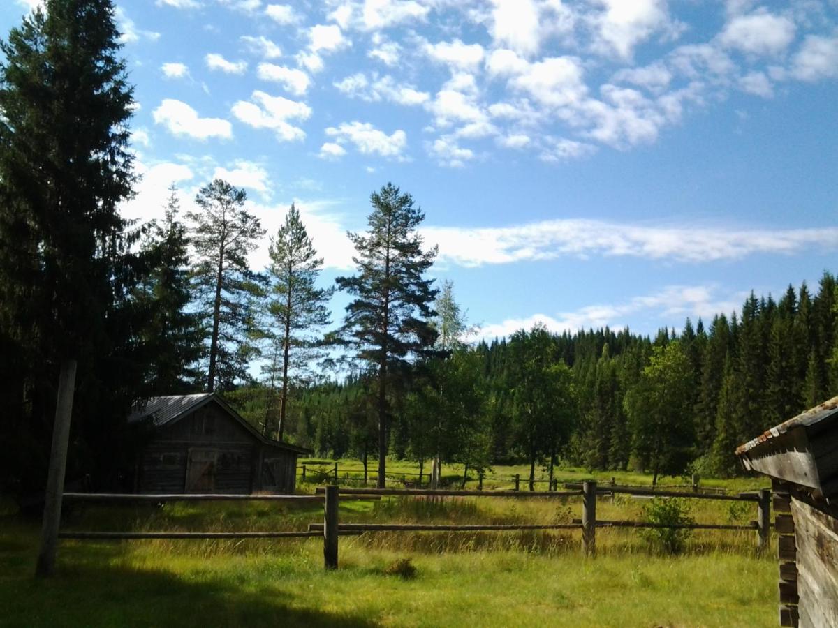 Photo 45