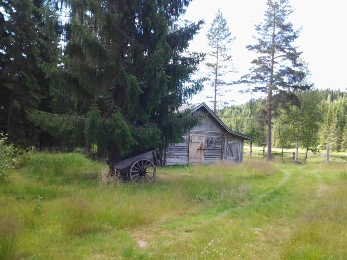 Photo 44
