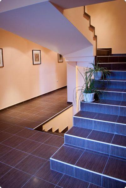 Guest House 