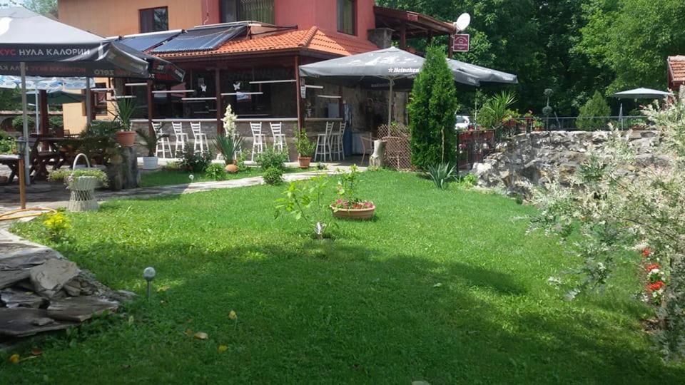 Guest House 
