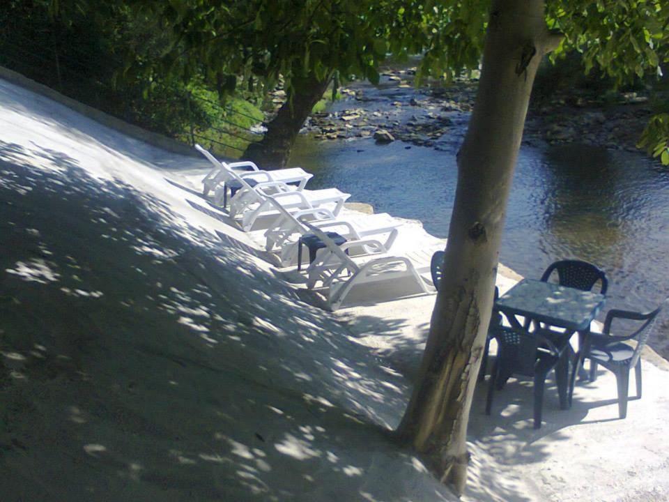 Guest House 