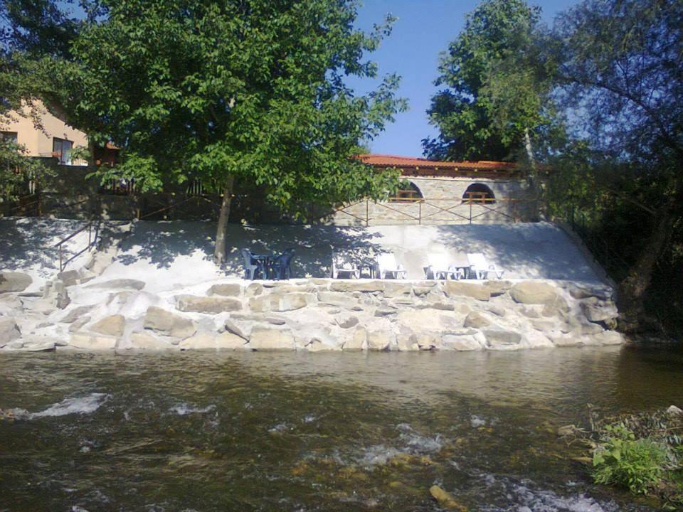 Guest House 