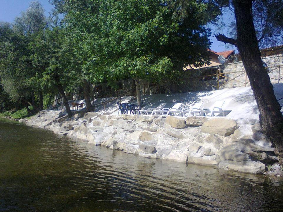 Guest House 