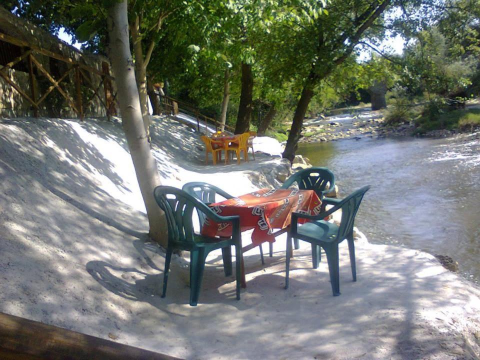 Guest House 