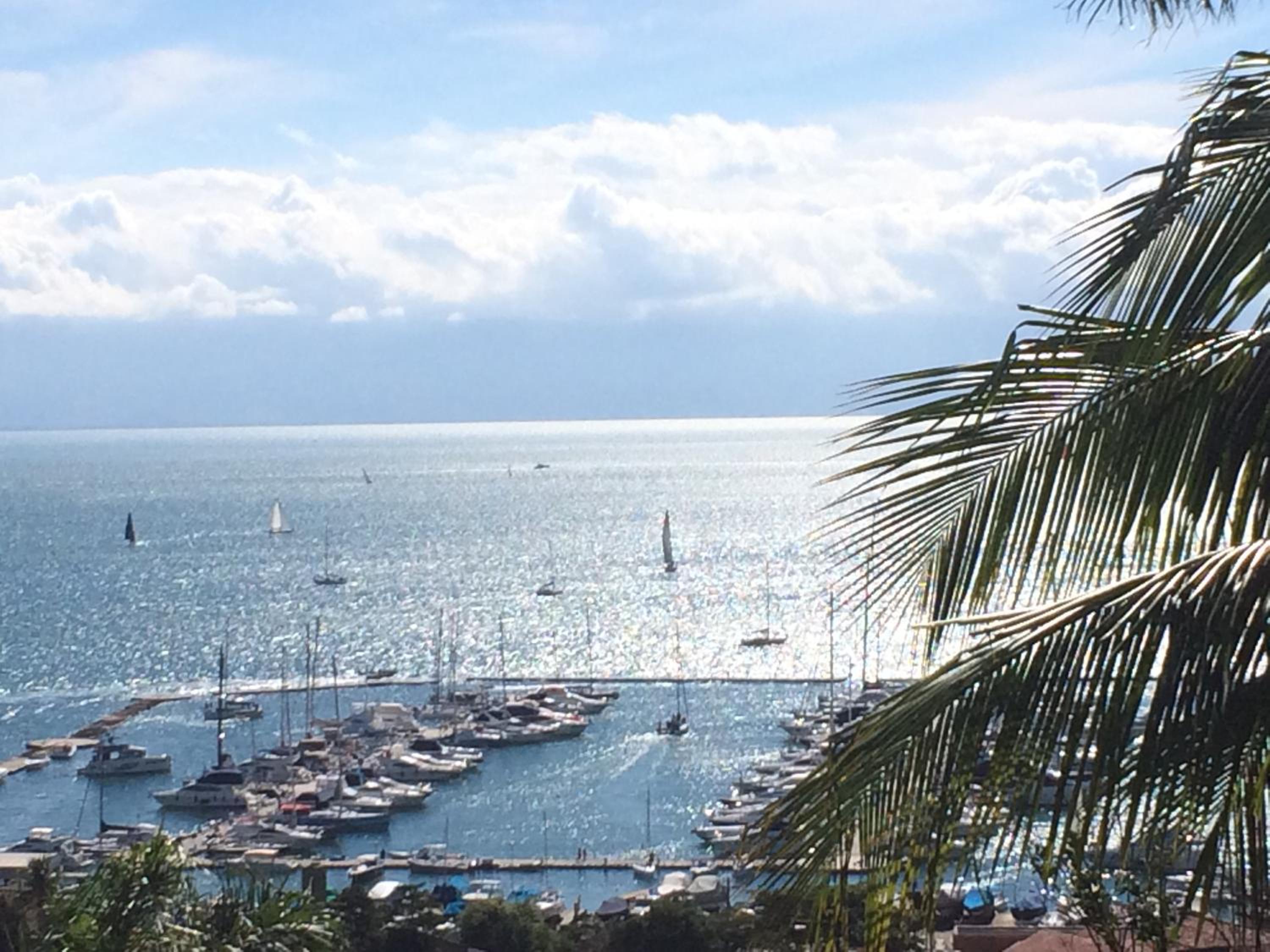 Casa Yacht Club