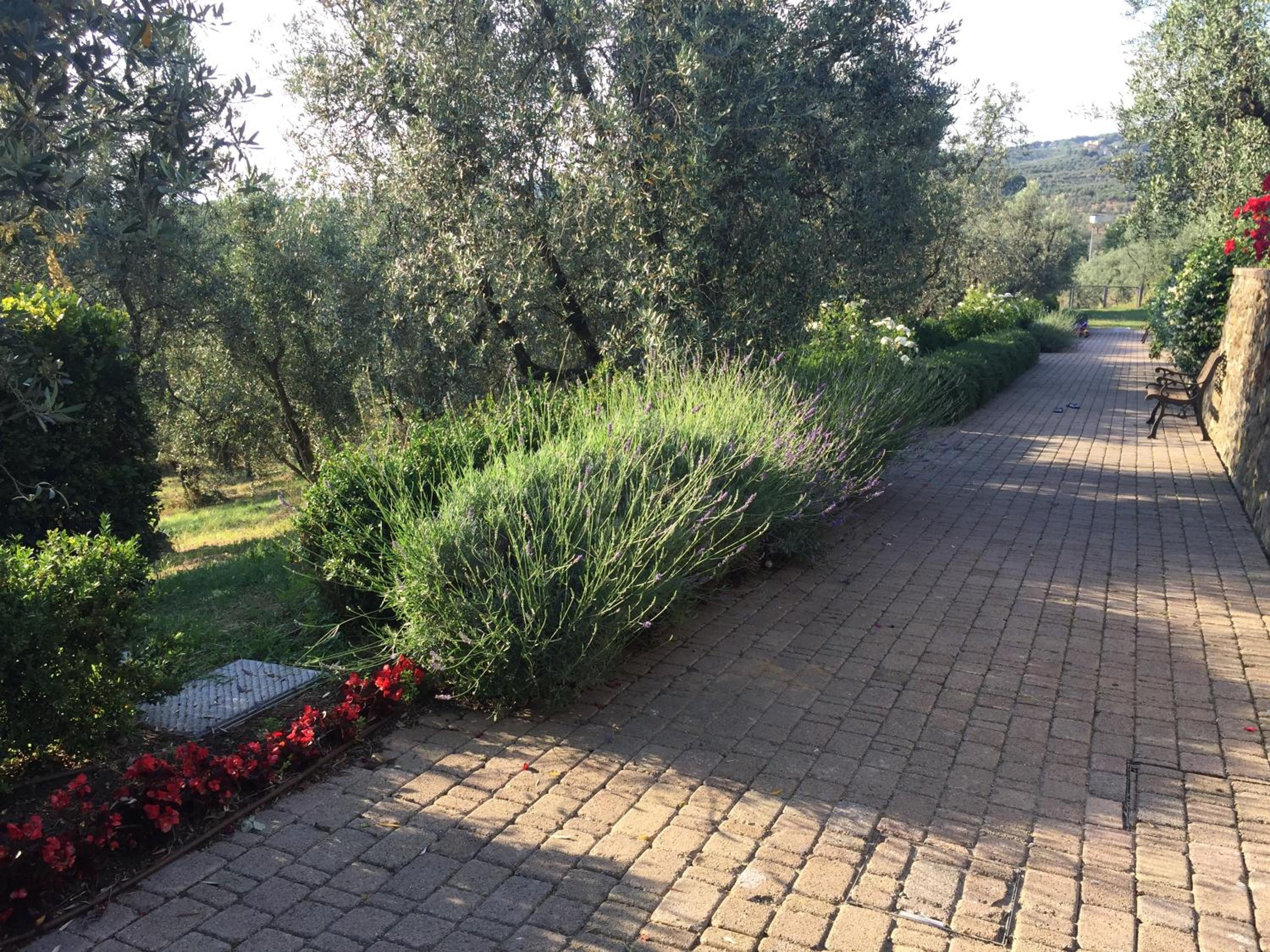 Photo 36