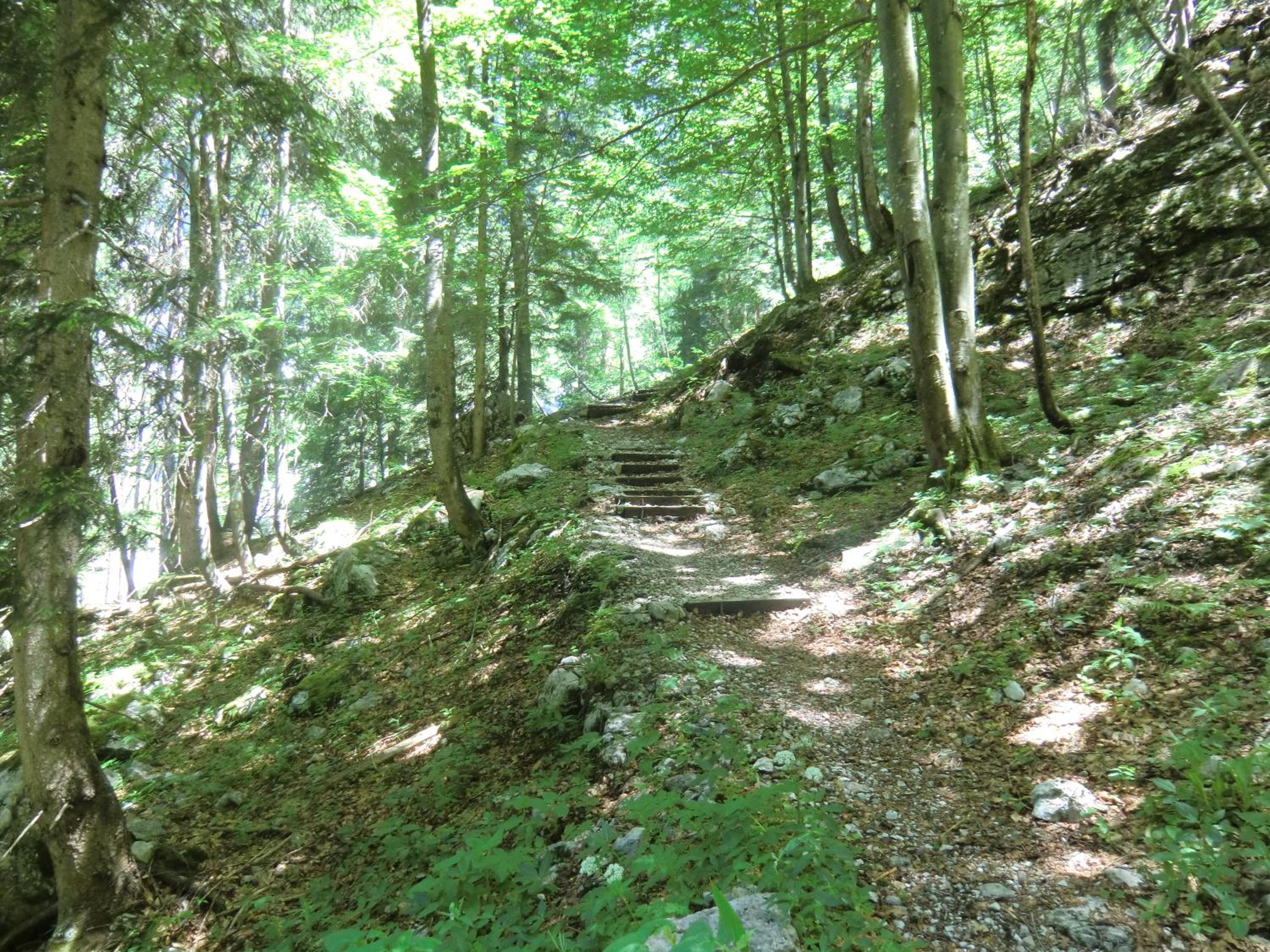 Photo 22