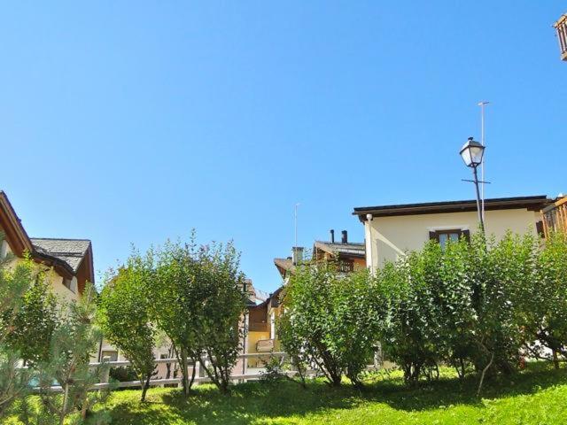 Lejin 12 view 2