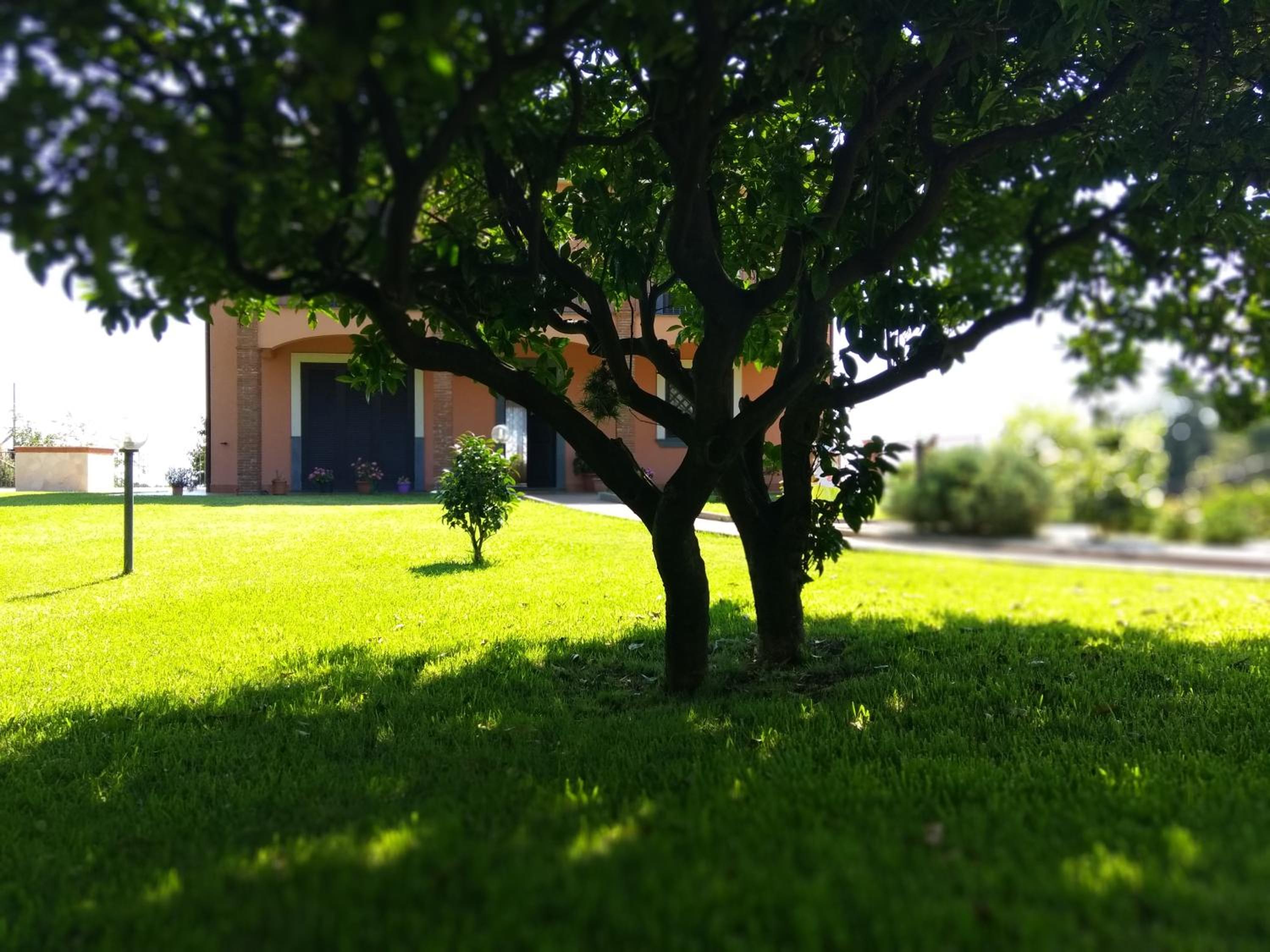 Photo 17