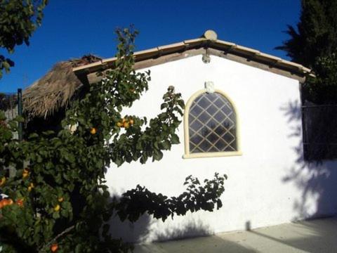 Photo 79