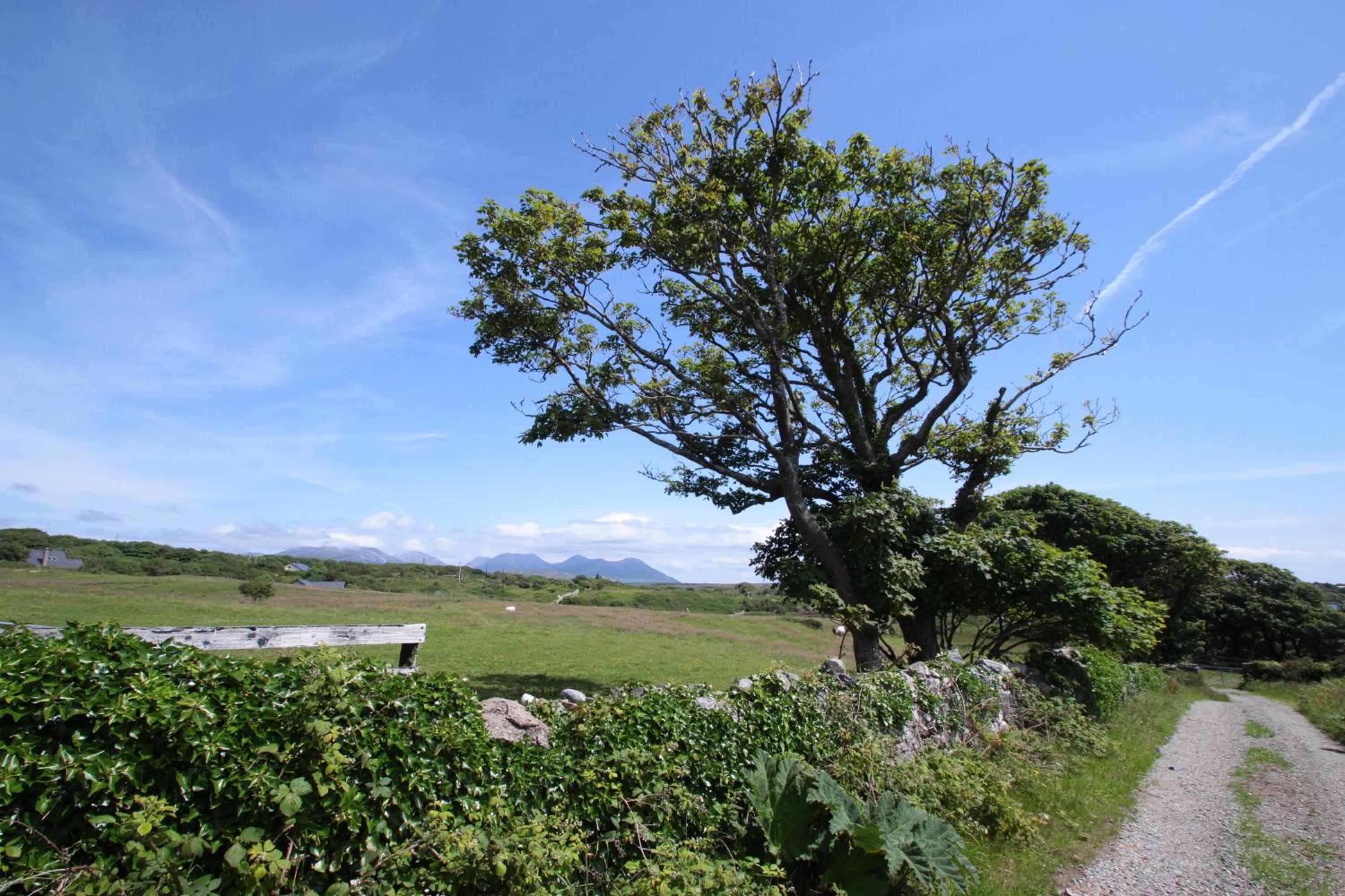 Island View Townhouses