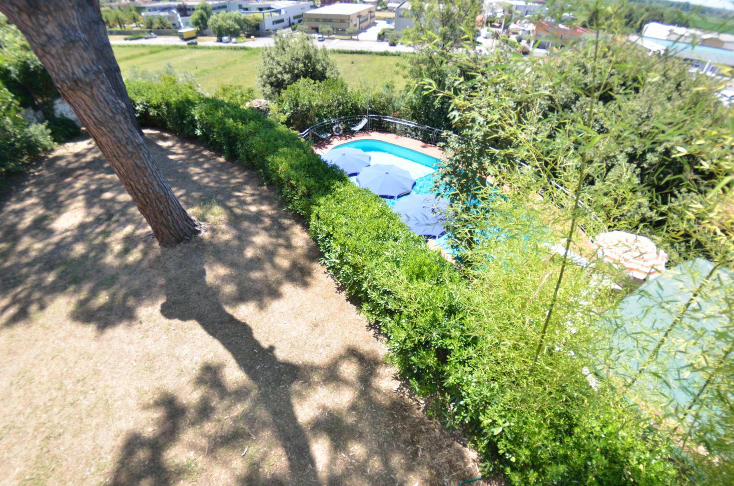 Il Corbezzolo view 3