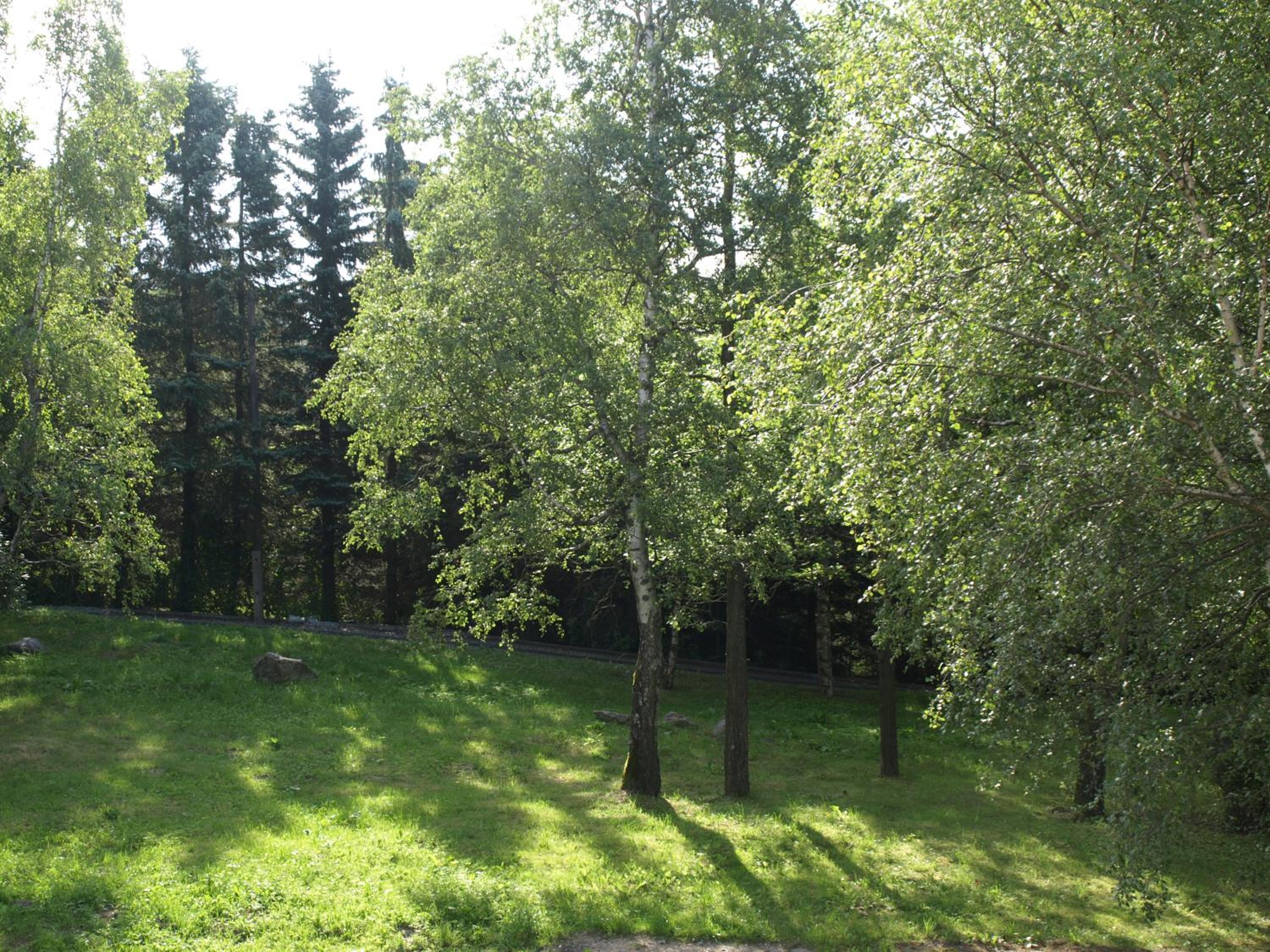 Guest House LUFT Sněžník