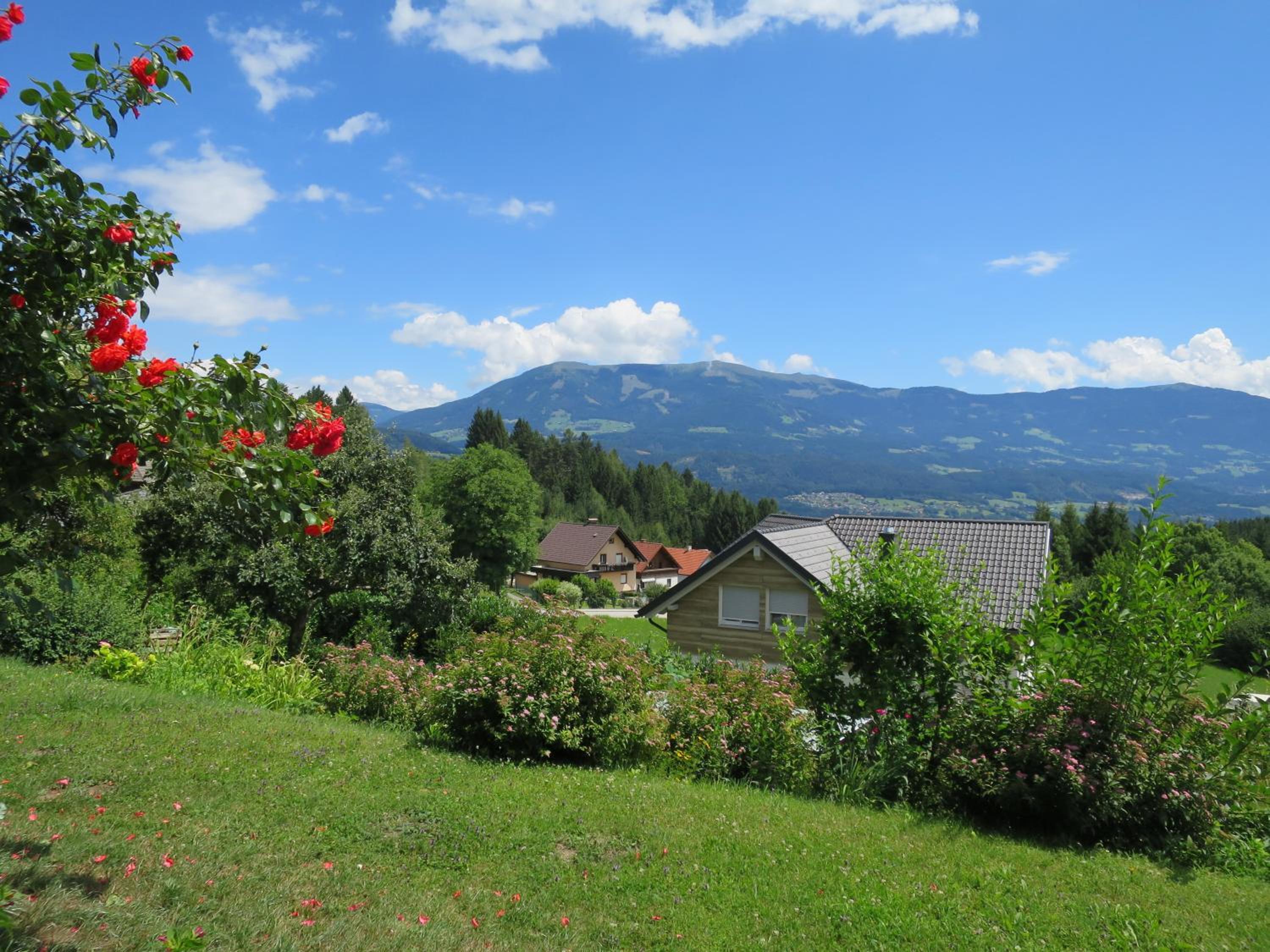 Photo 40