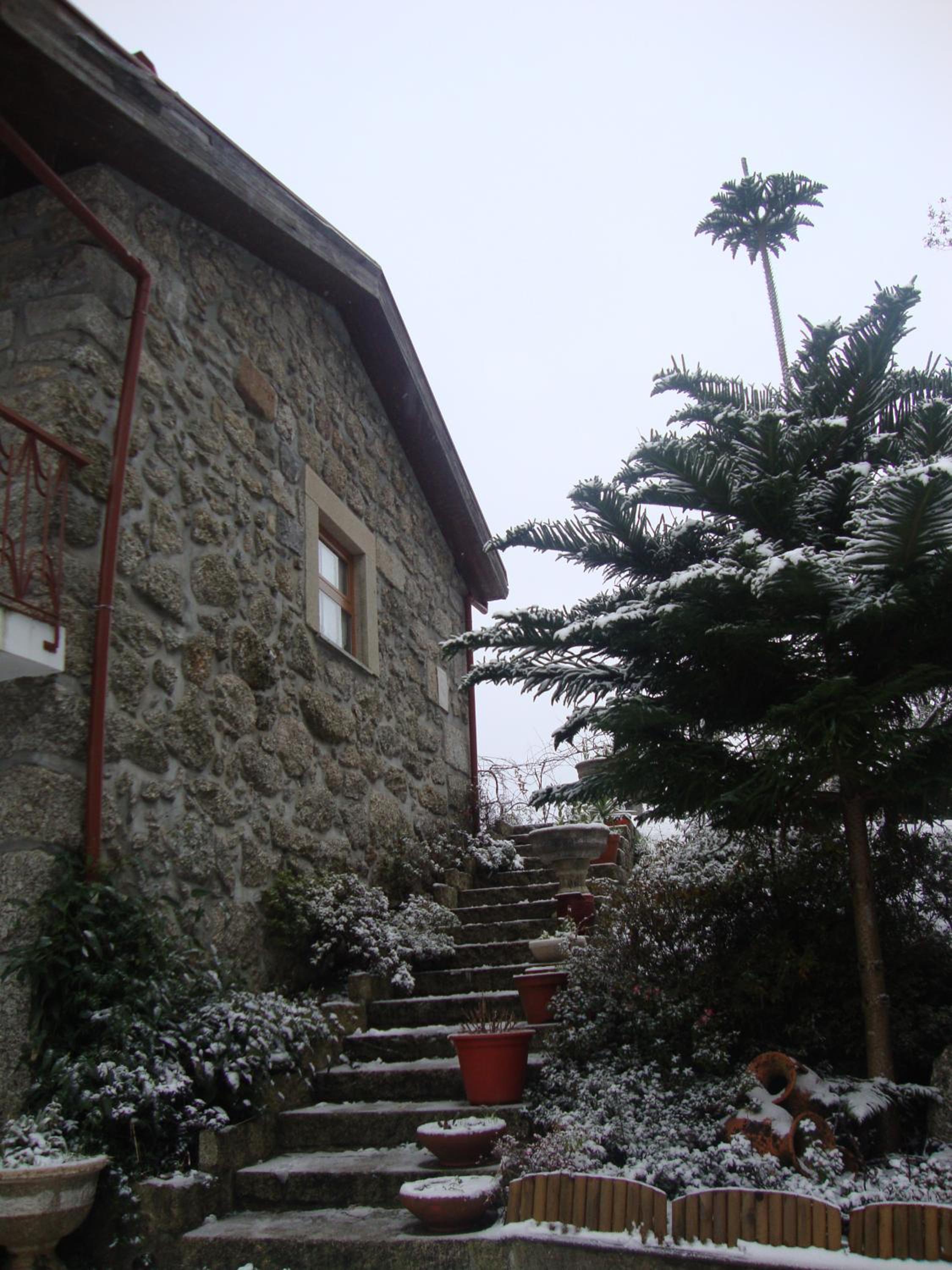 Photo 49