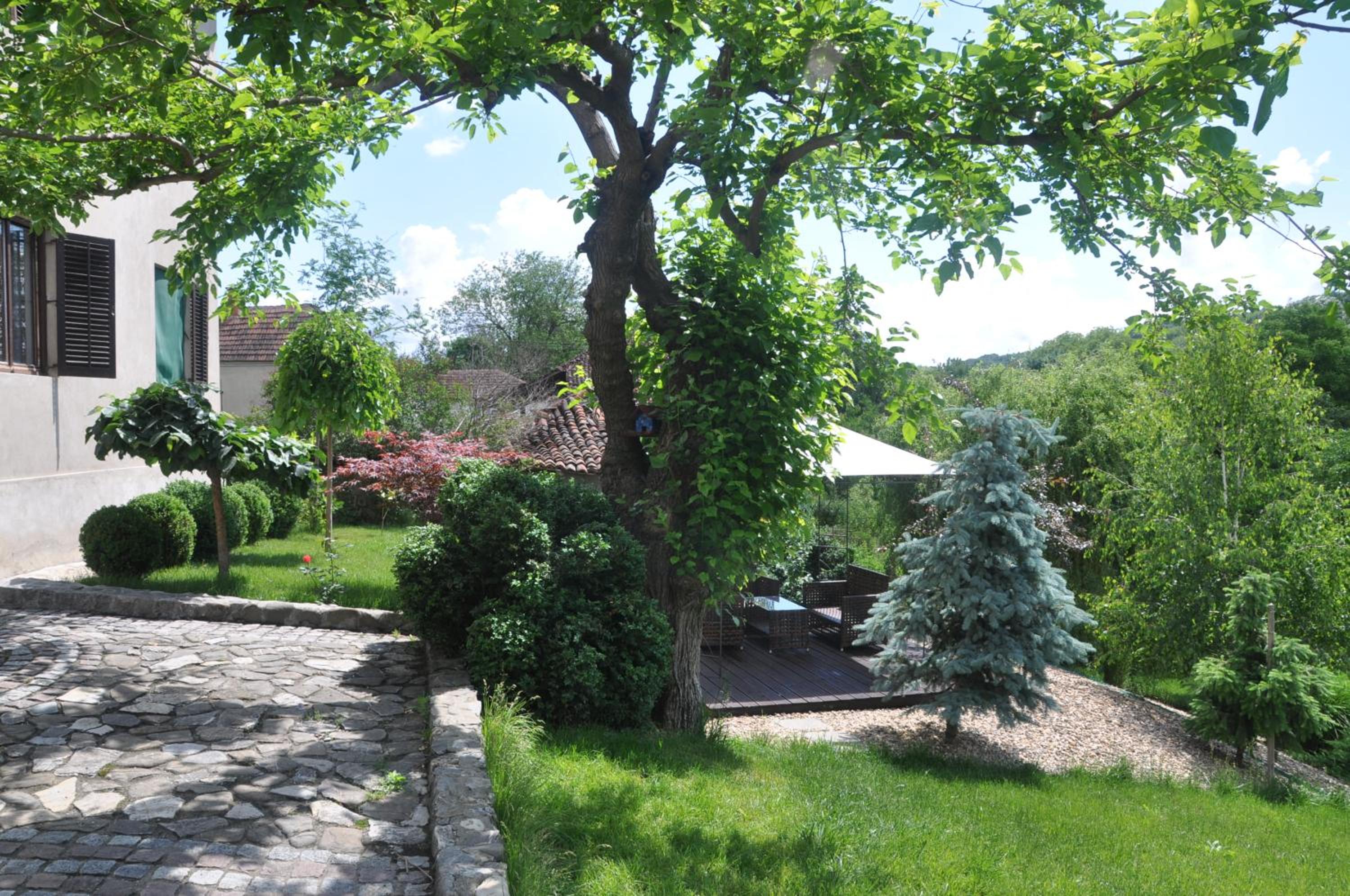 Photo 10