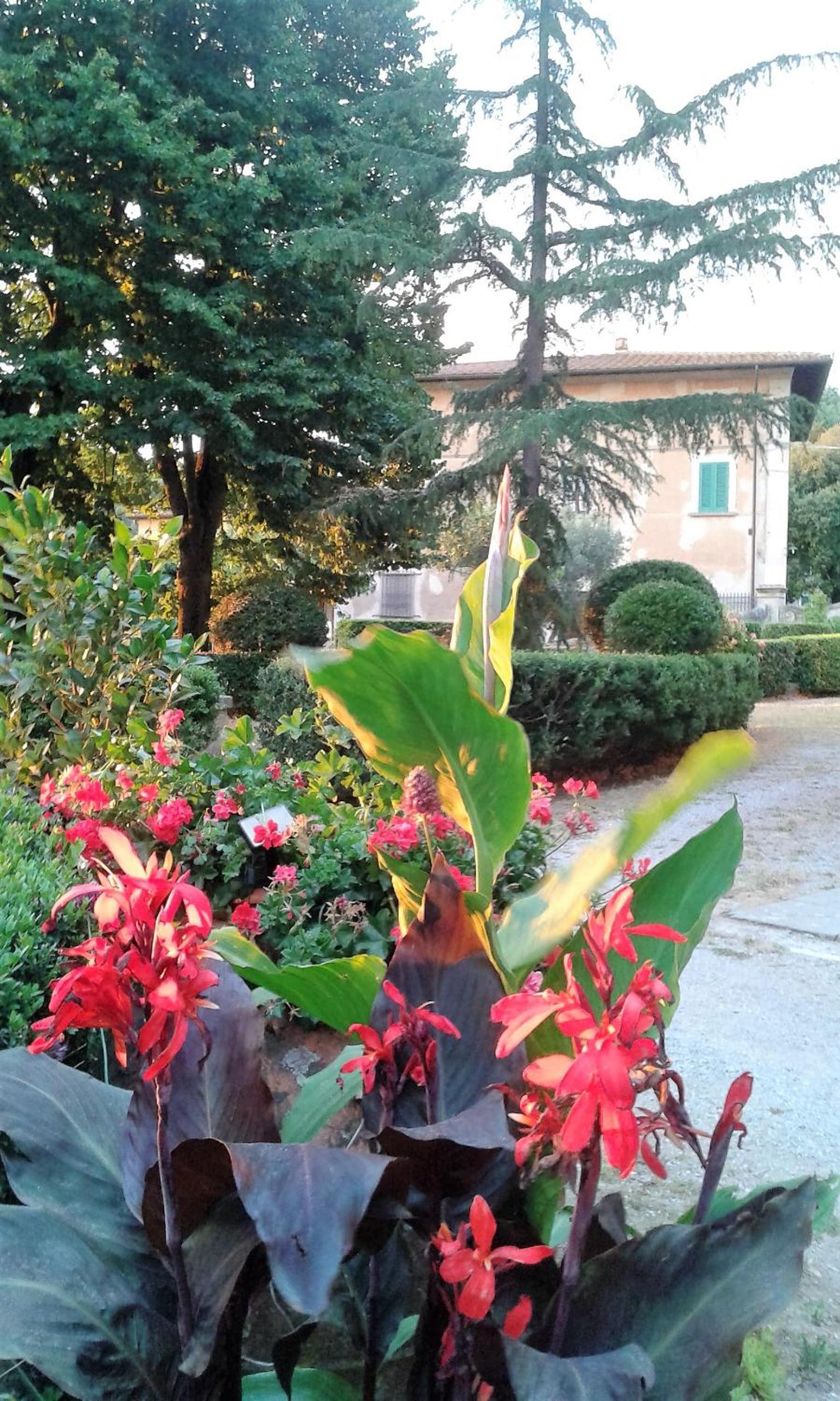 Photo 41