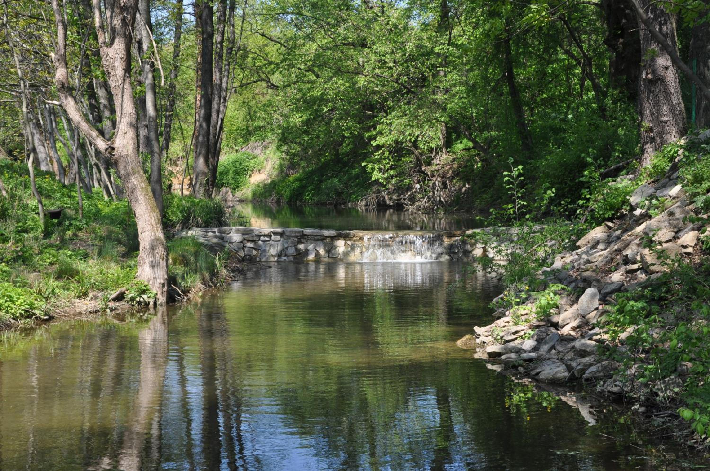 Photo 42