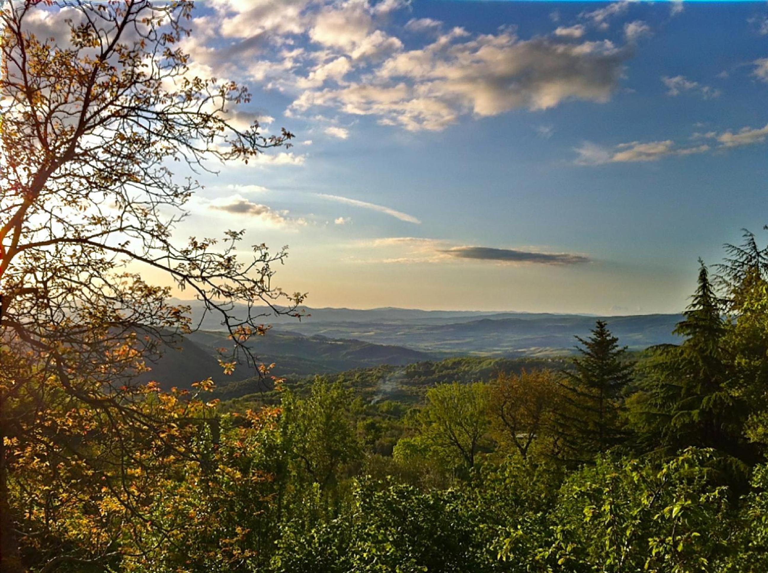 Le Case Della Buca Agriturismo ed Agricampeggio