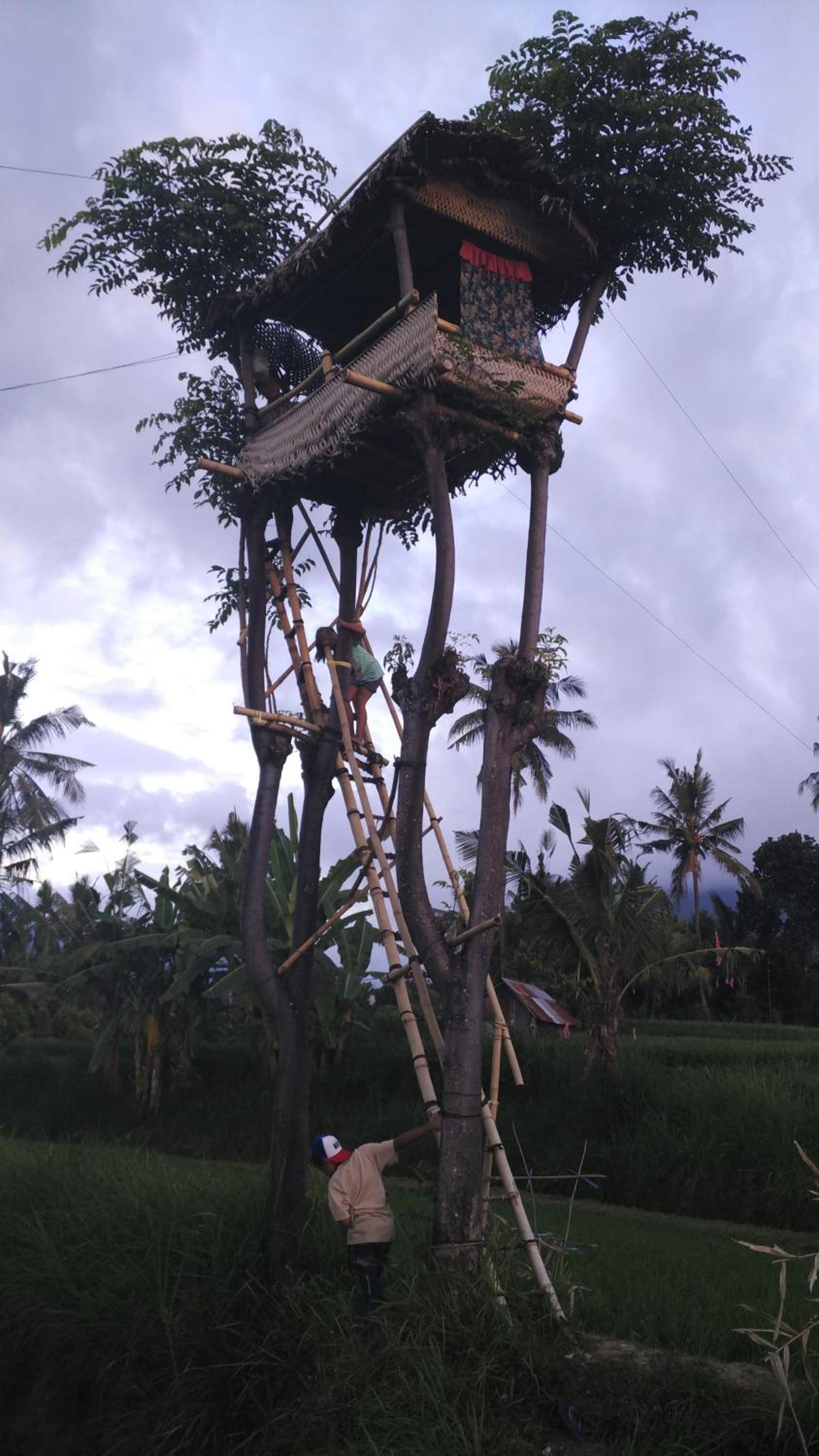 DWM ESA di Kubu Homestay By Reccoma