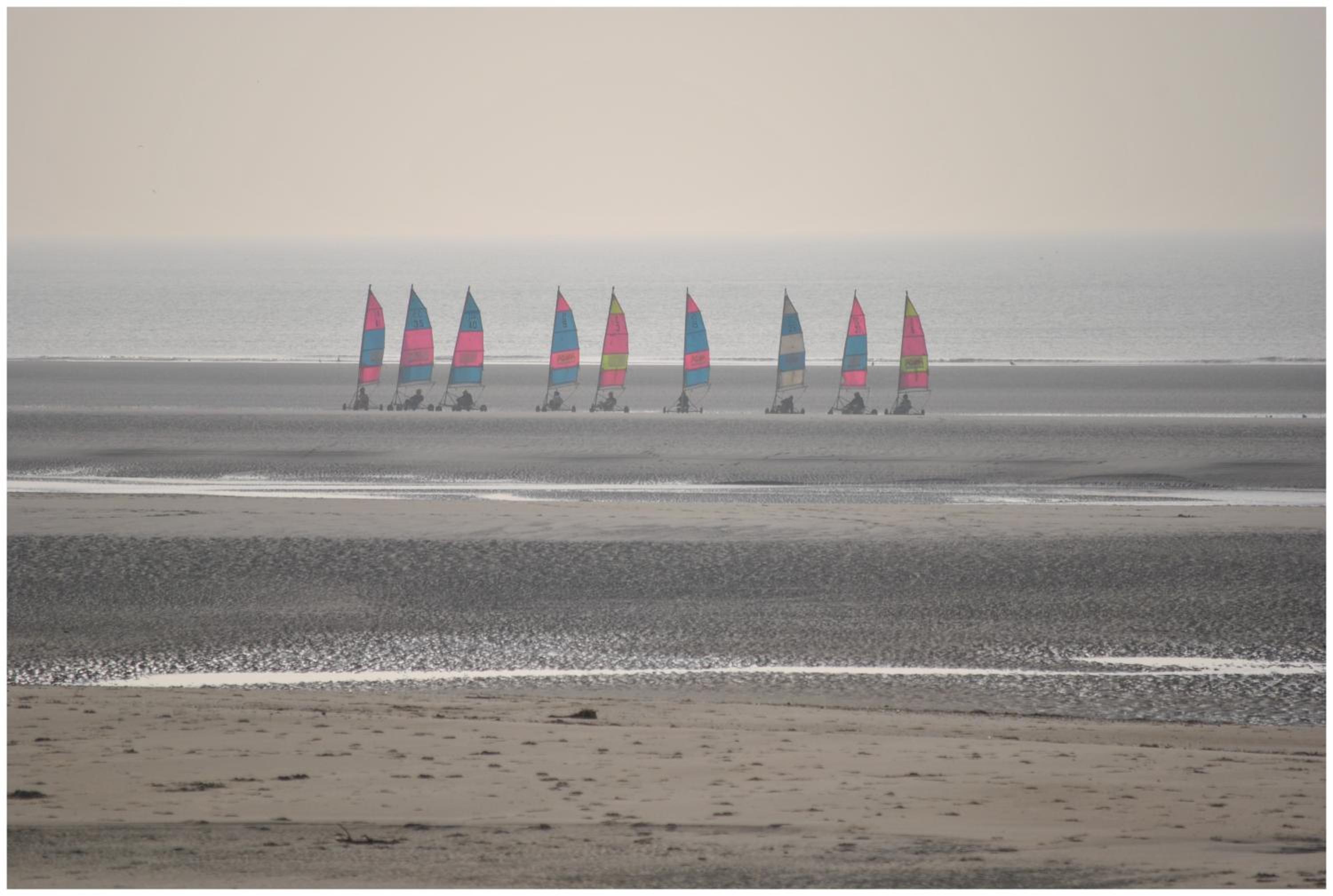 Oyats baie, photo 41