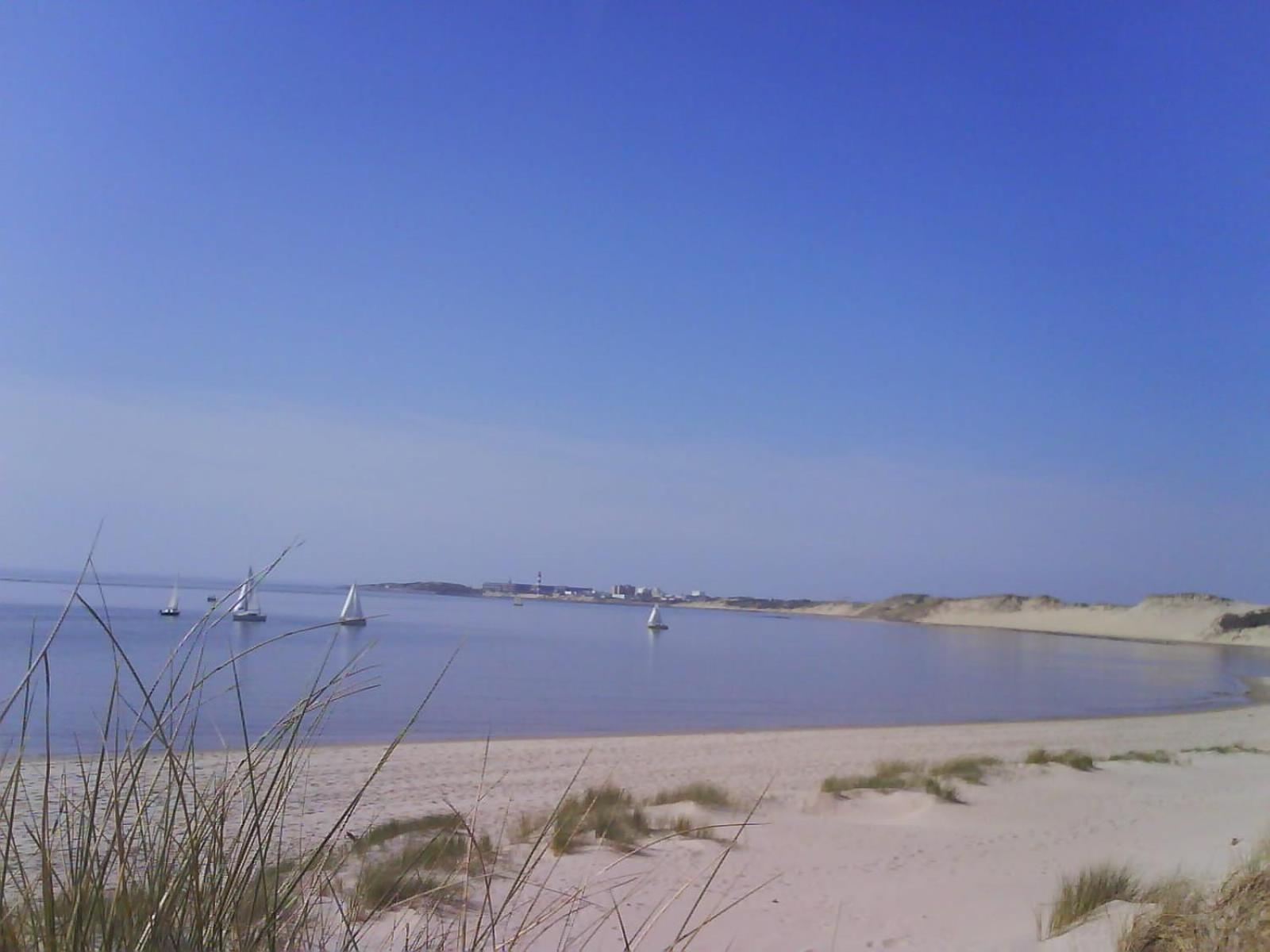 Oyats baie, photo 8