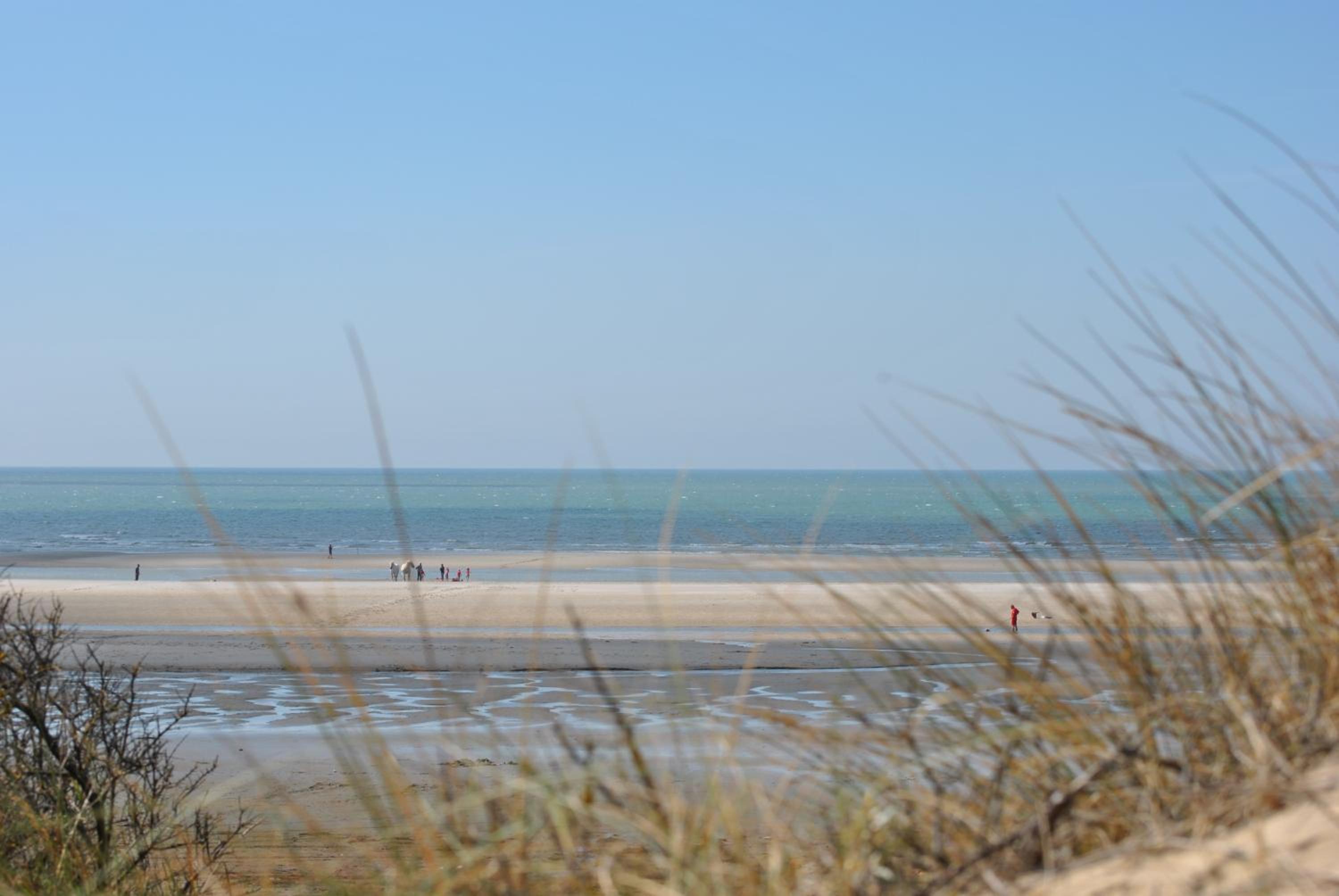 Oyats baie, photo 6