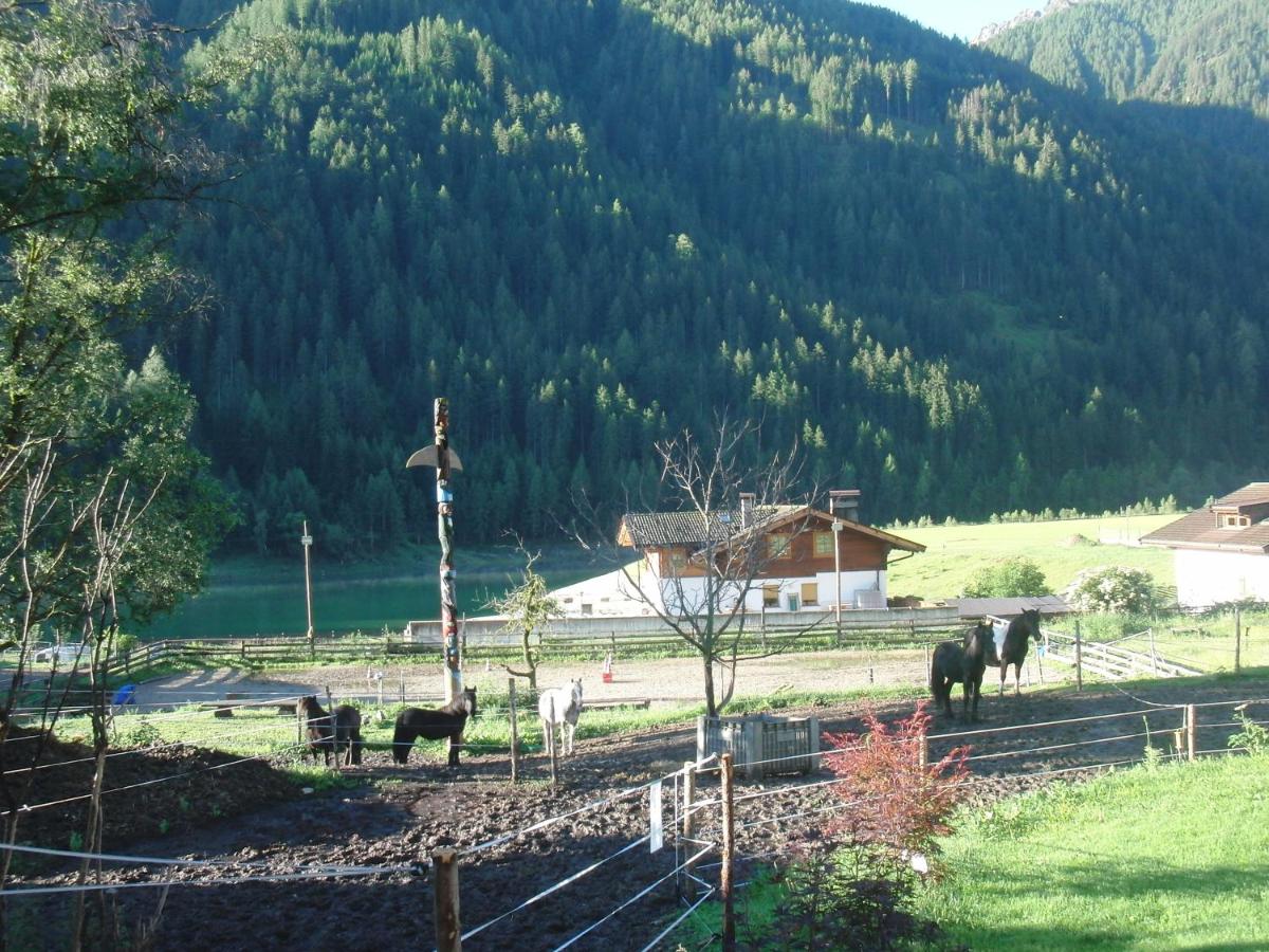 Photo 25