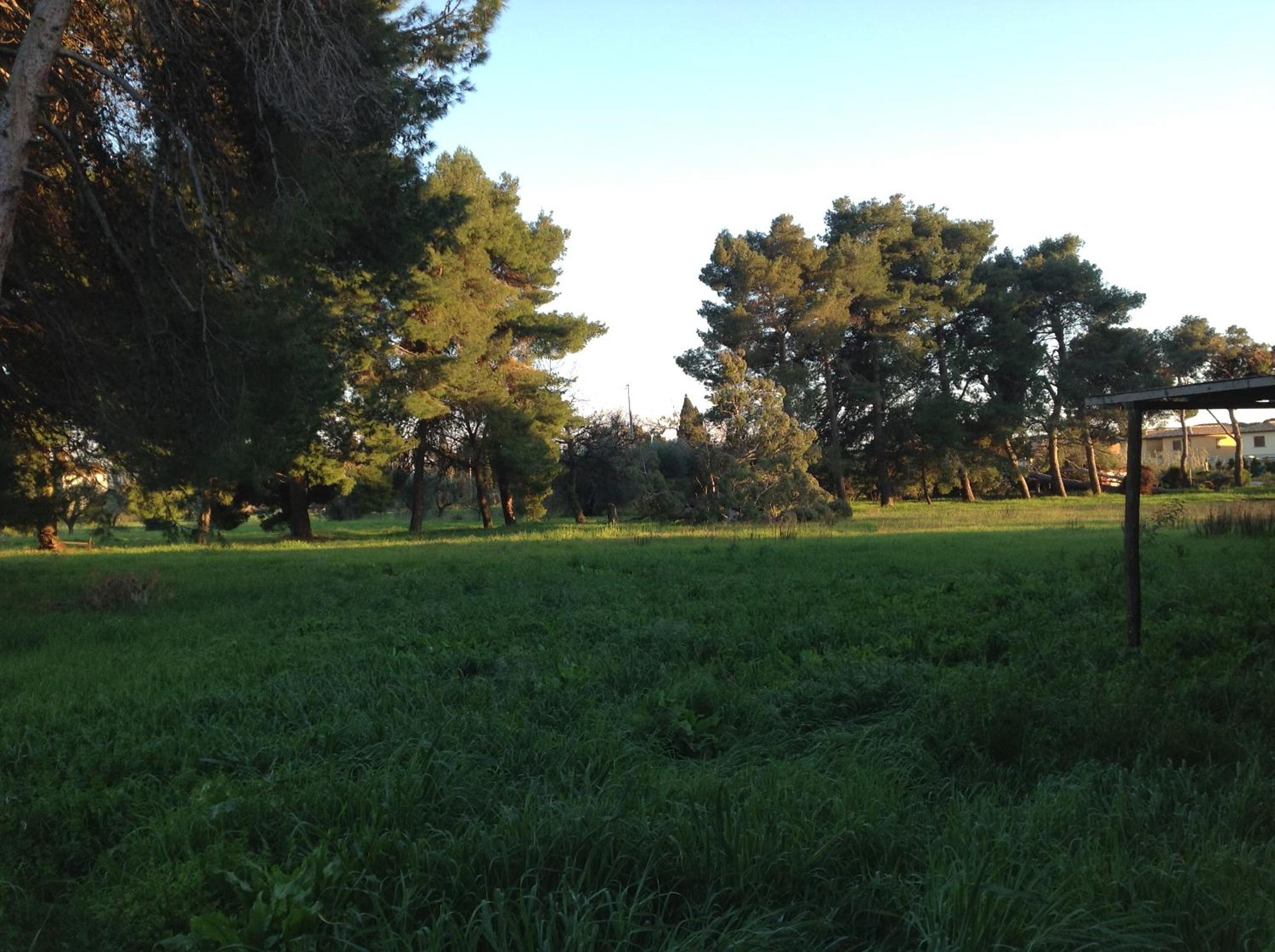 Villa di Campagna Santa Giulia photo 5