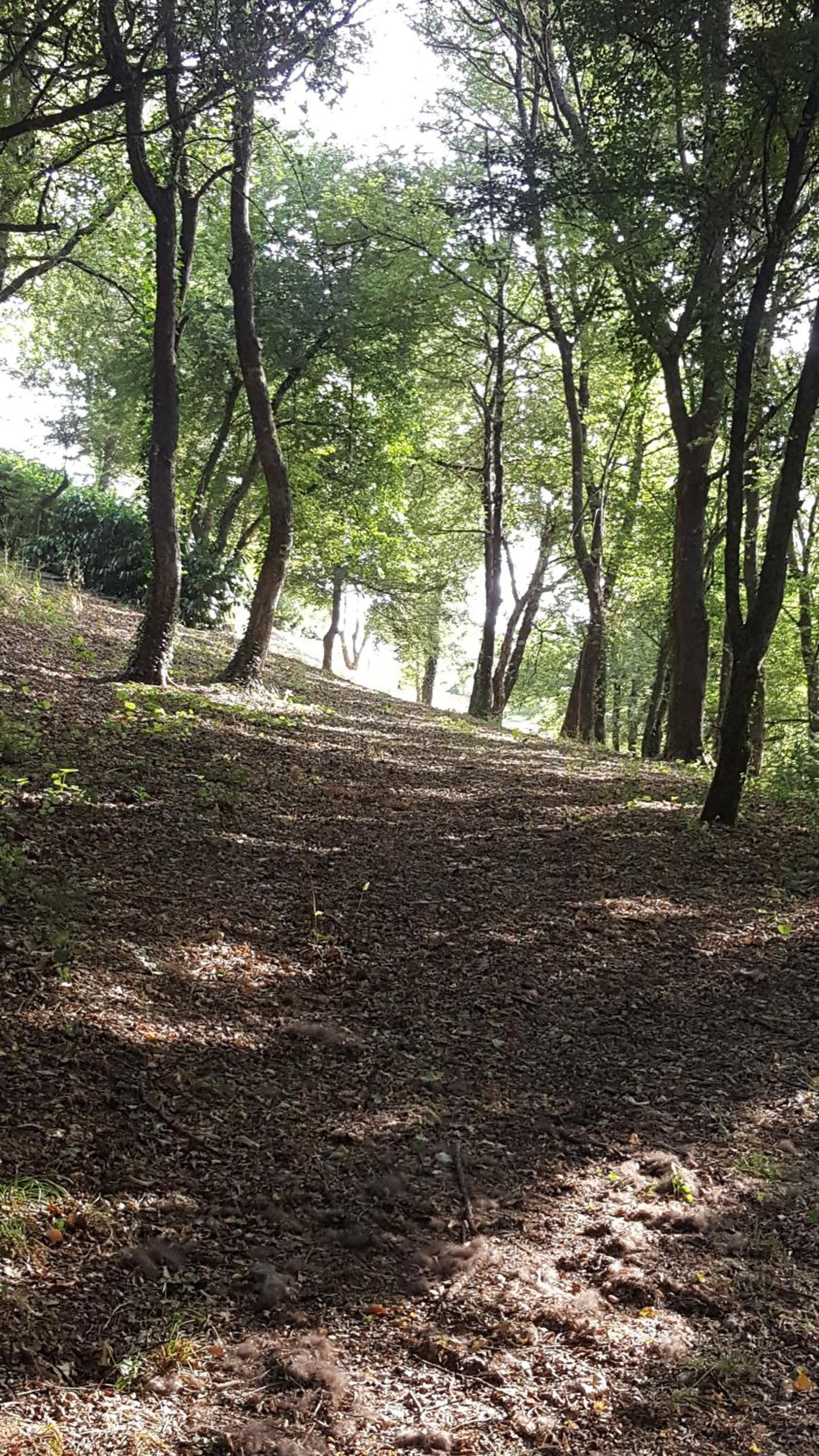 Casa Vacanze Borgo la Fratta