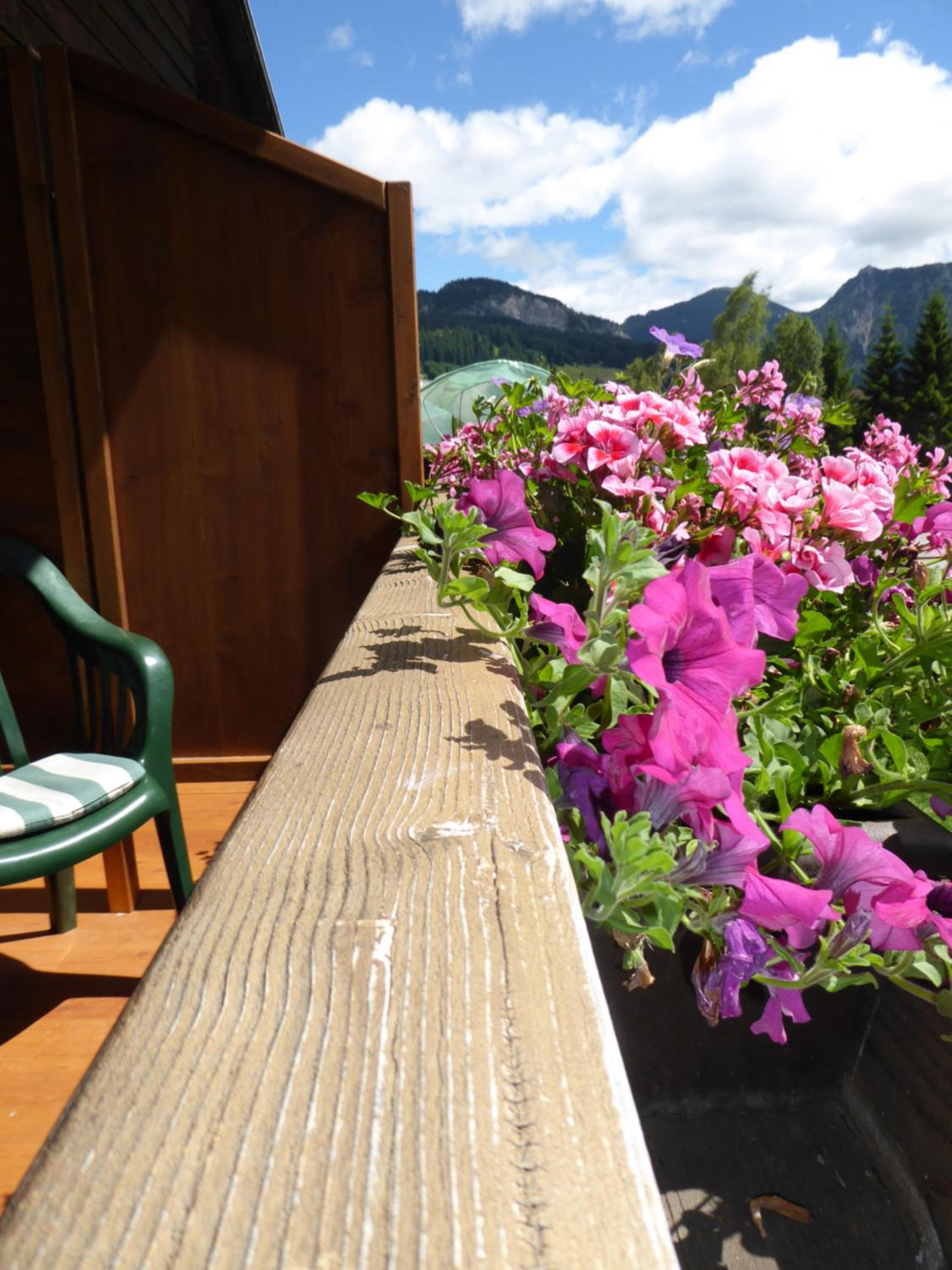 Gasthof Restaurant Pizzeria Enzian - Sommerbergbahnen inklusive